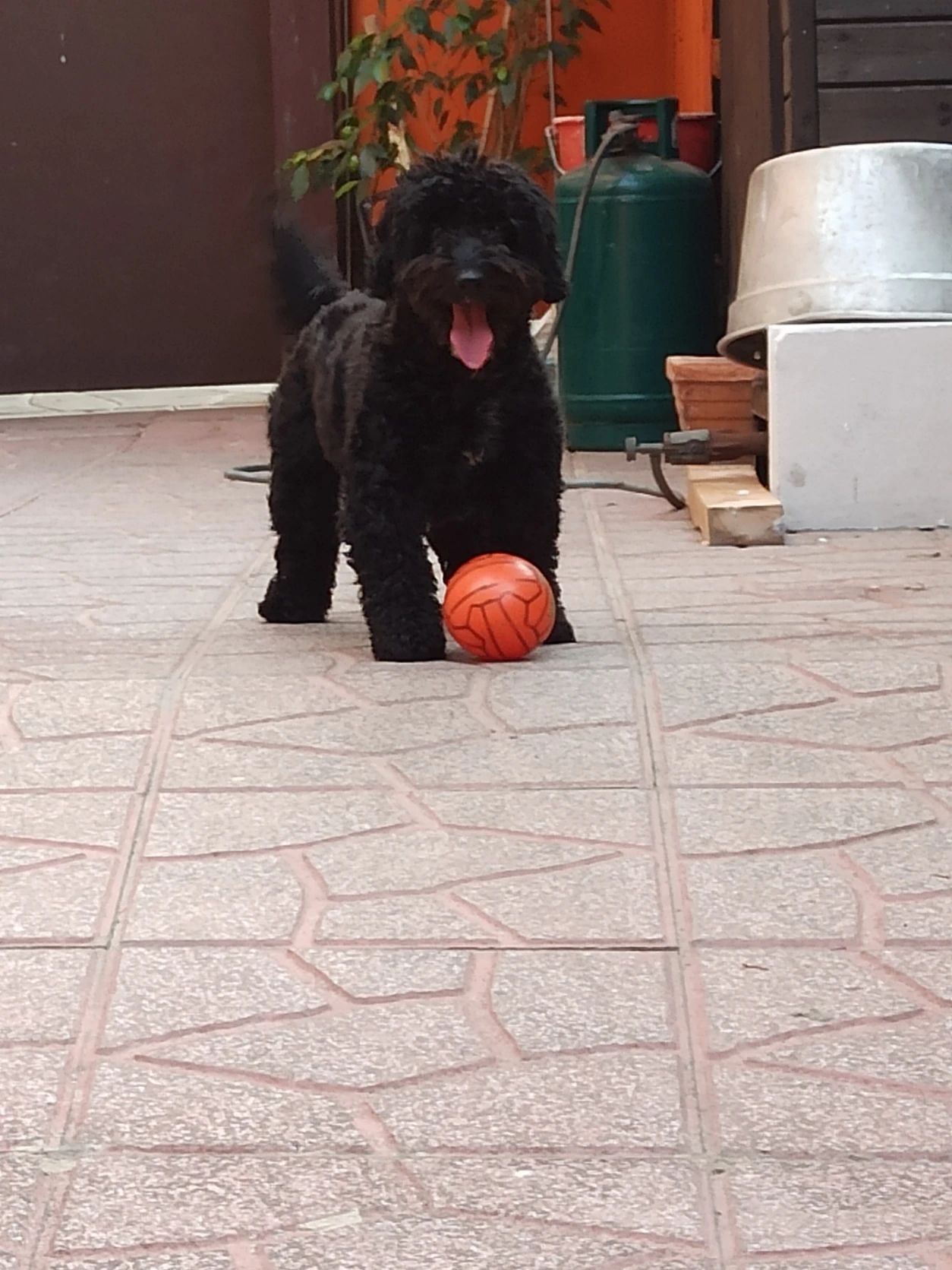 image-8