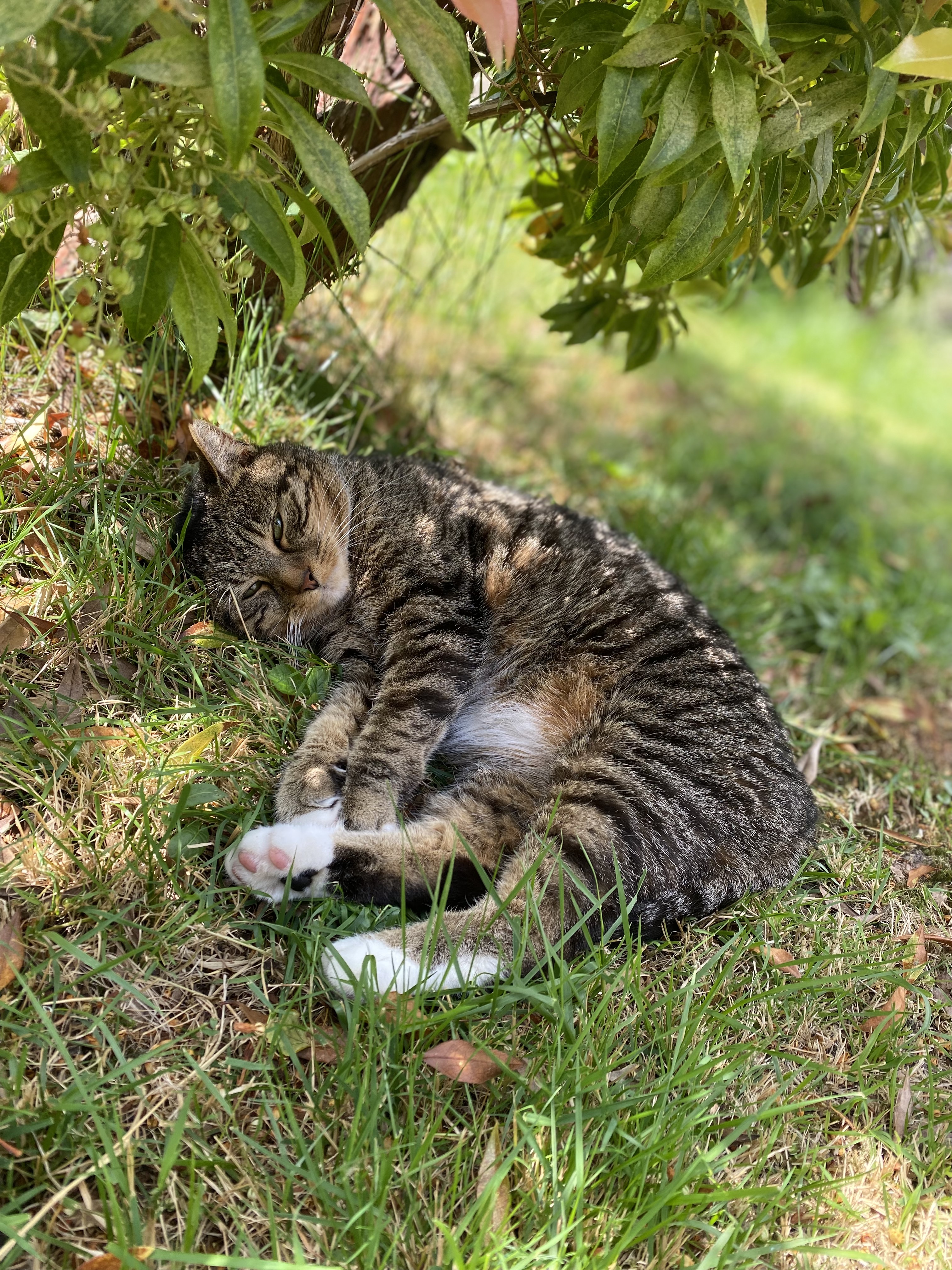 image-11