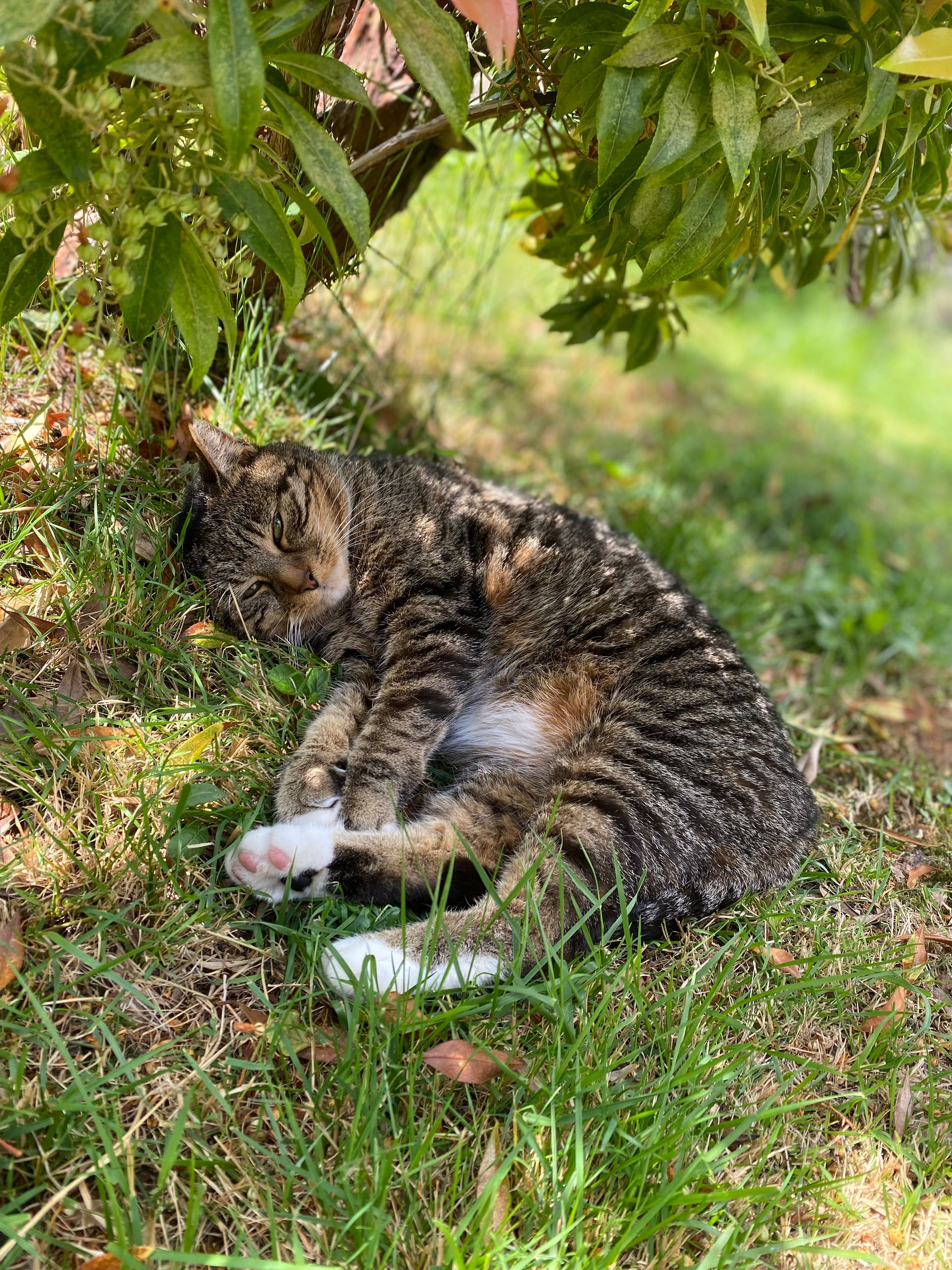 image-11