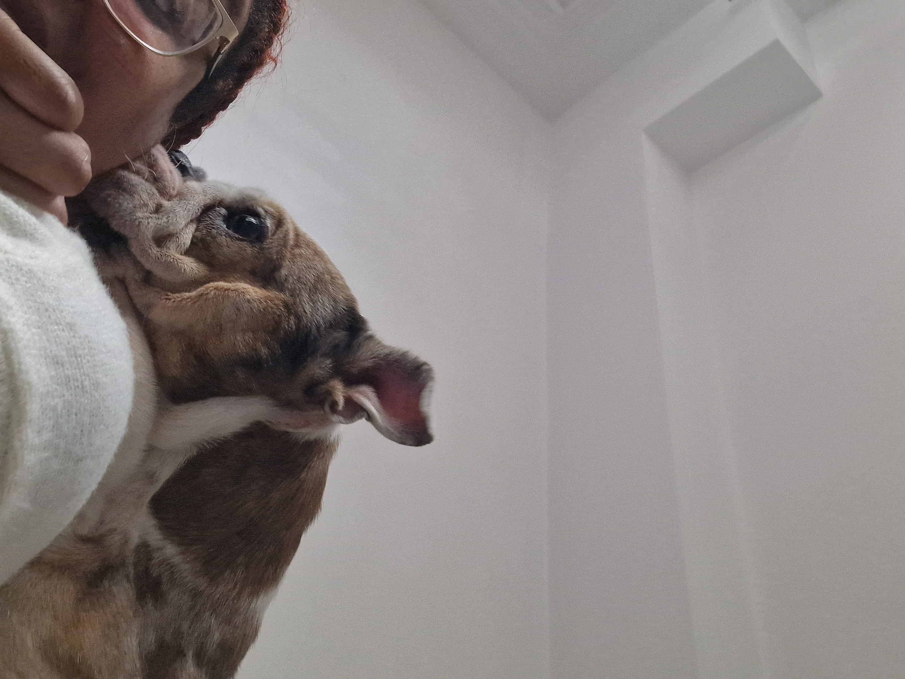 image-8