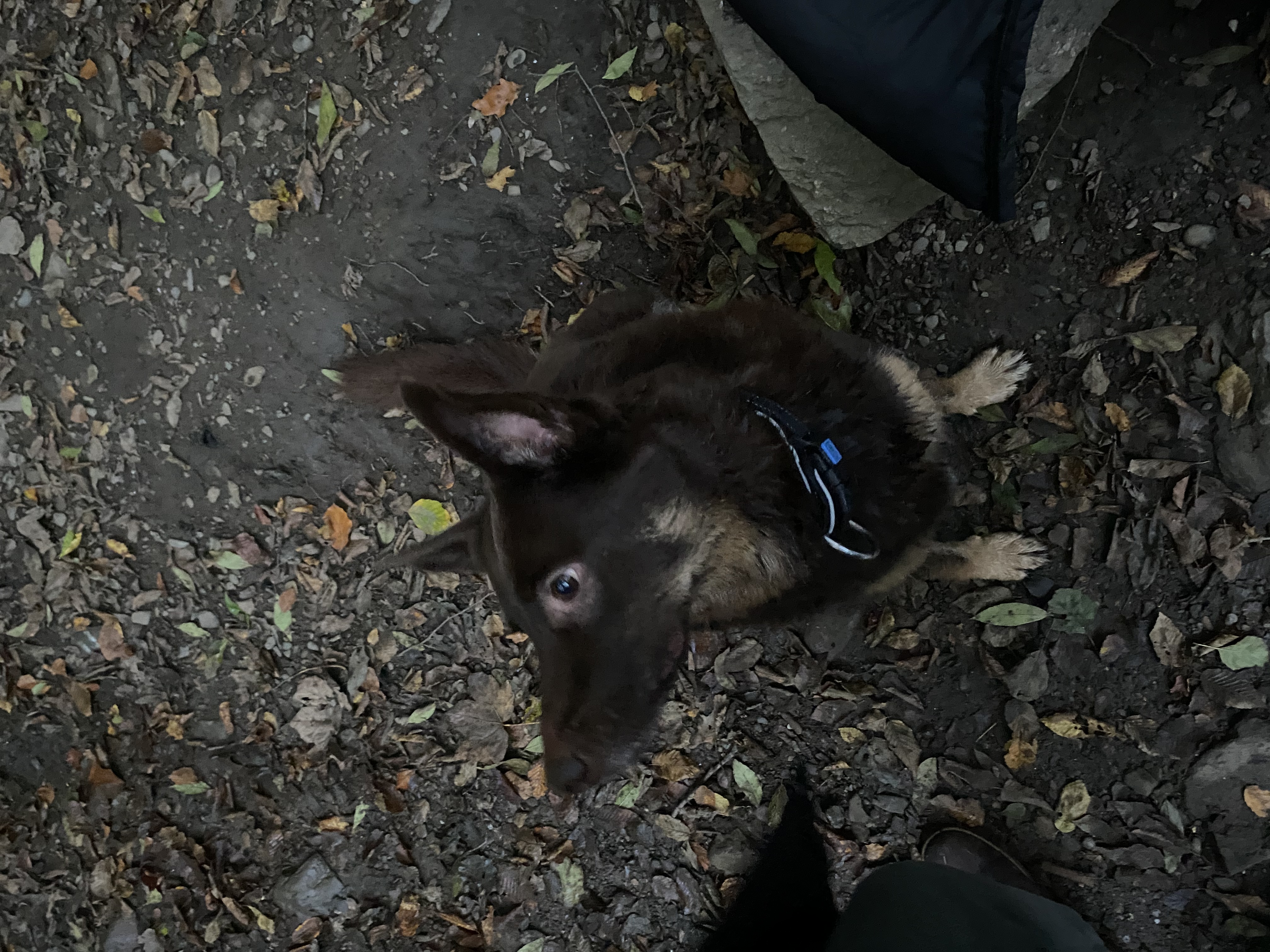 image-7