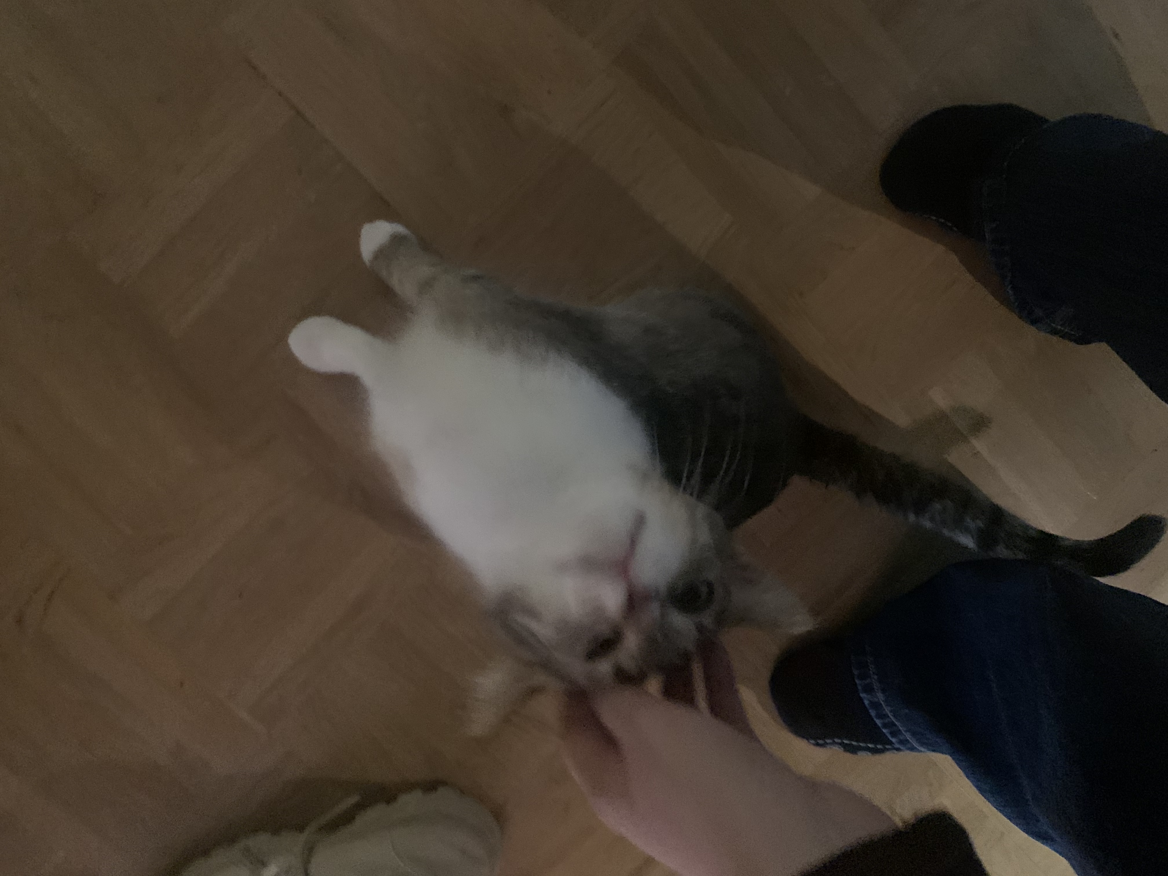 image-16