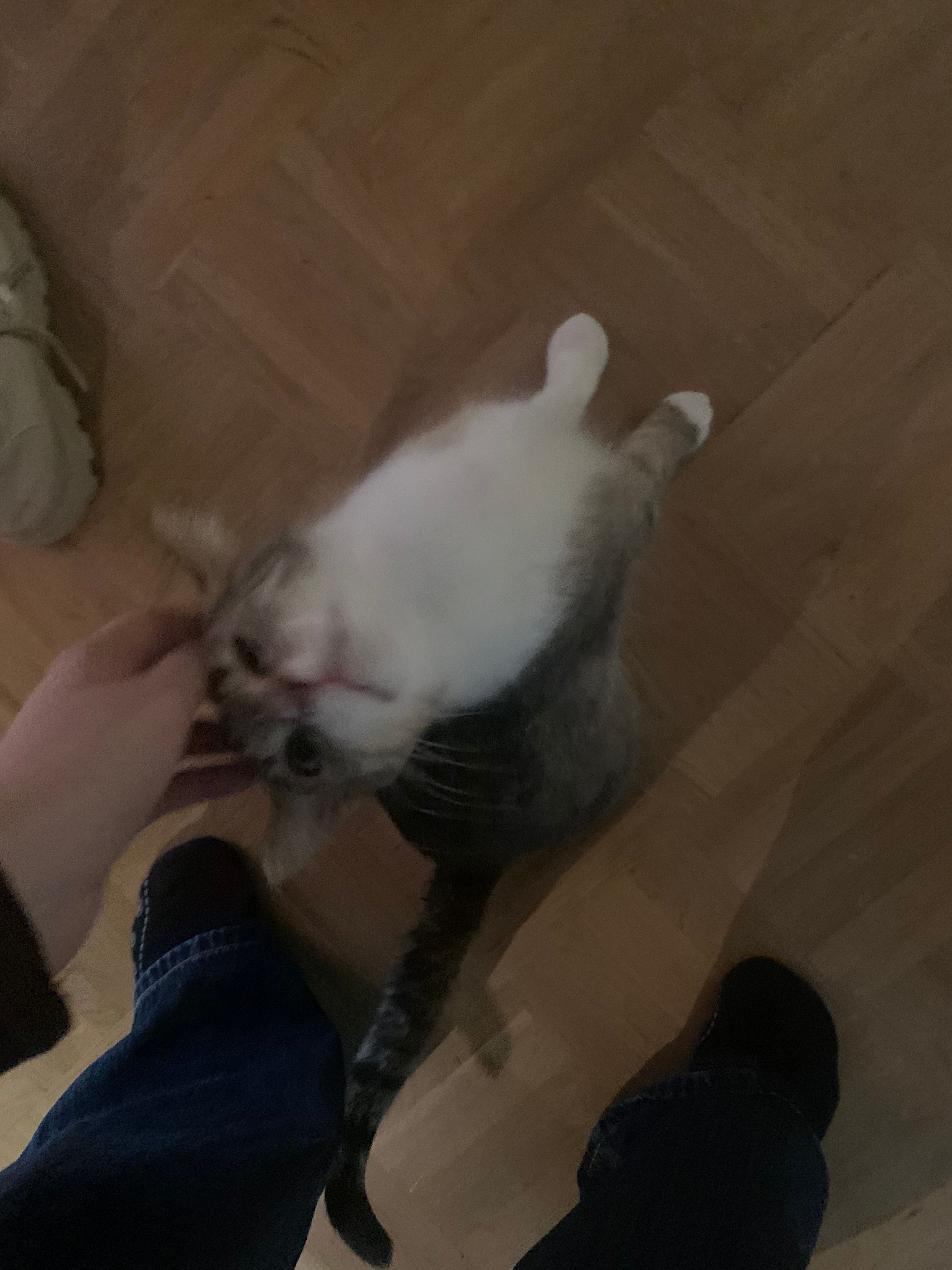 image-16