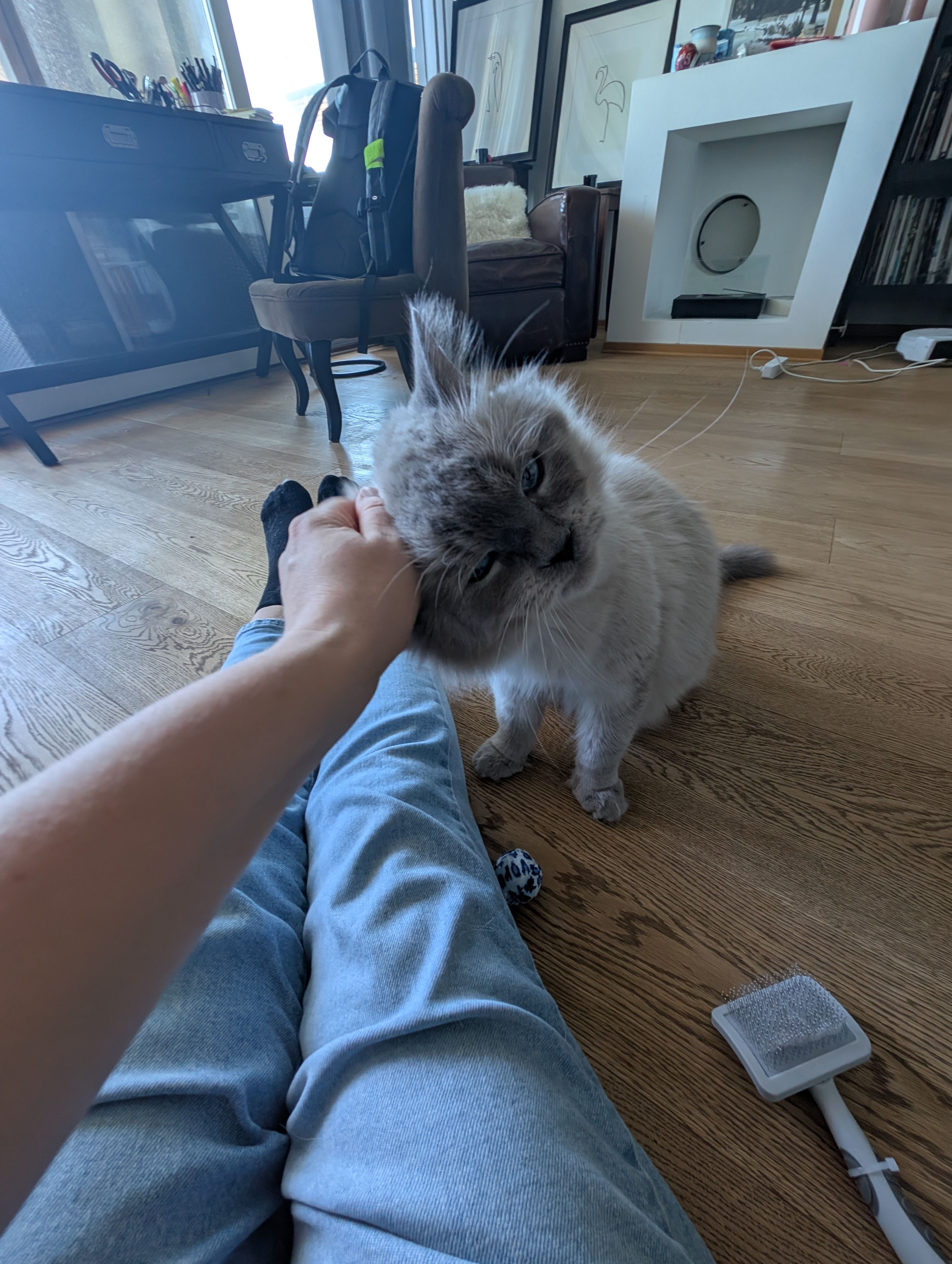 image-17