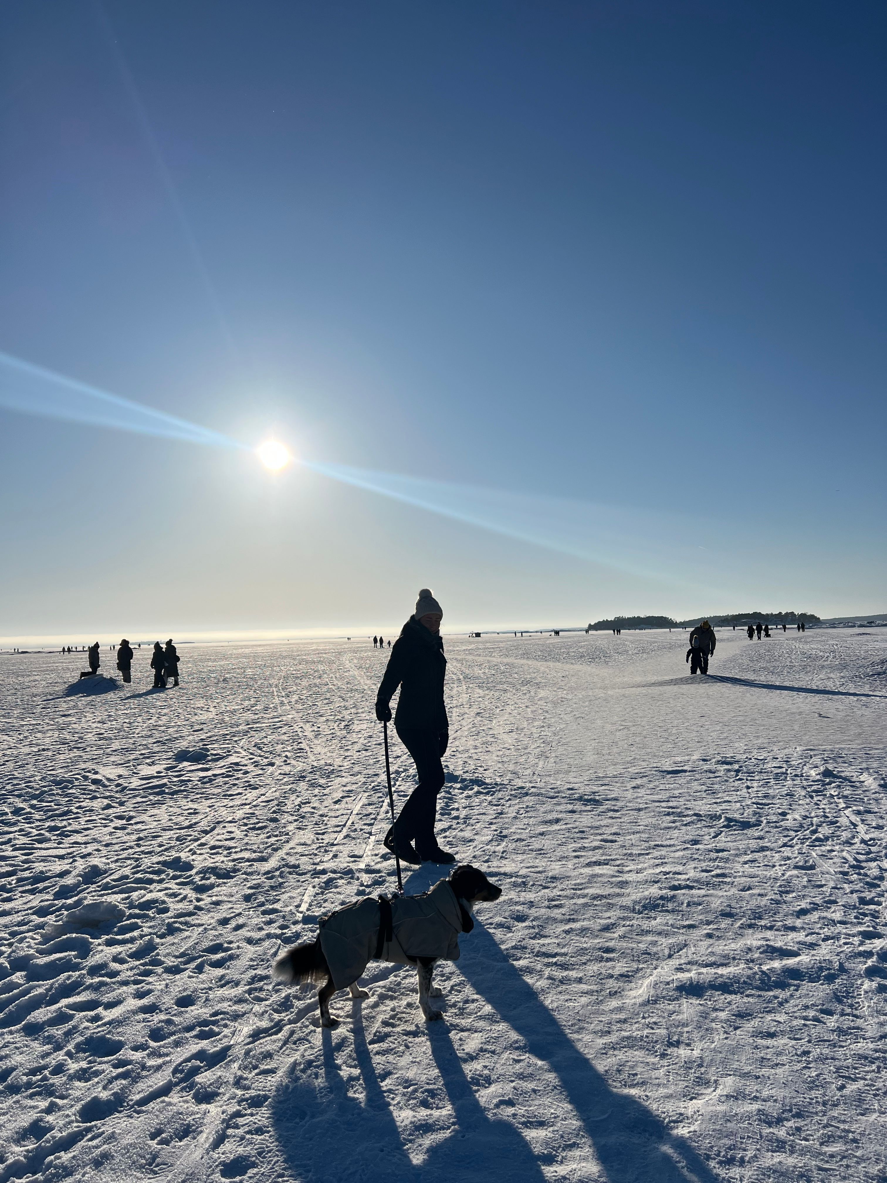 image-8