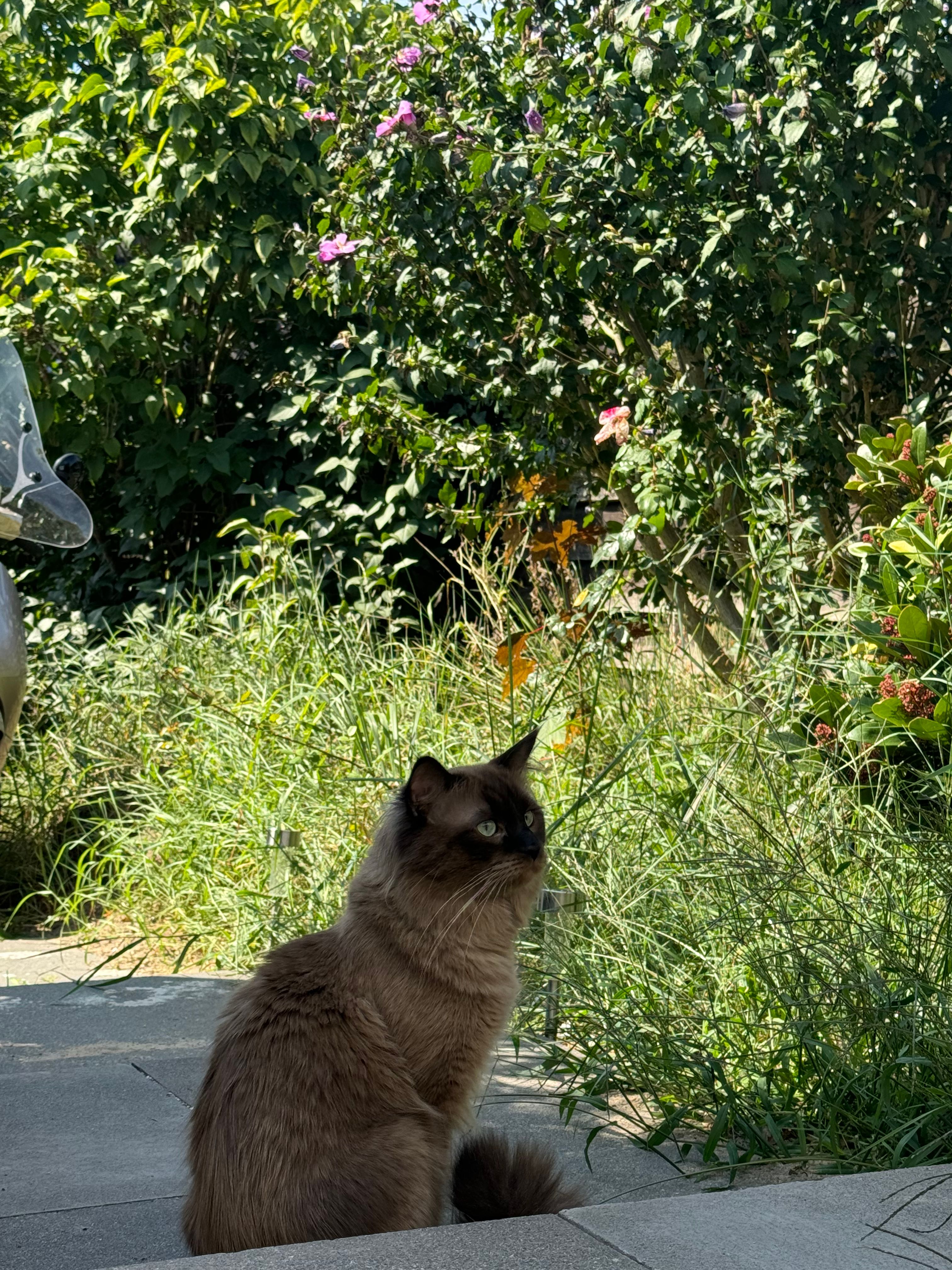 image-18