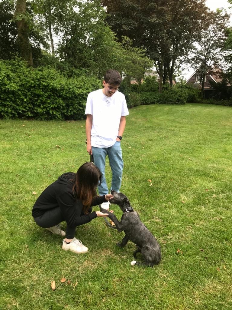 image-12