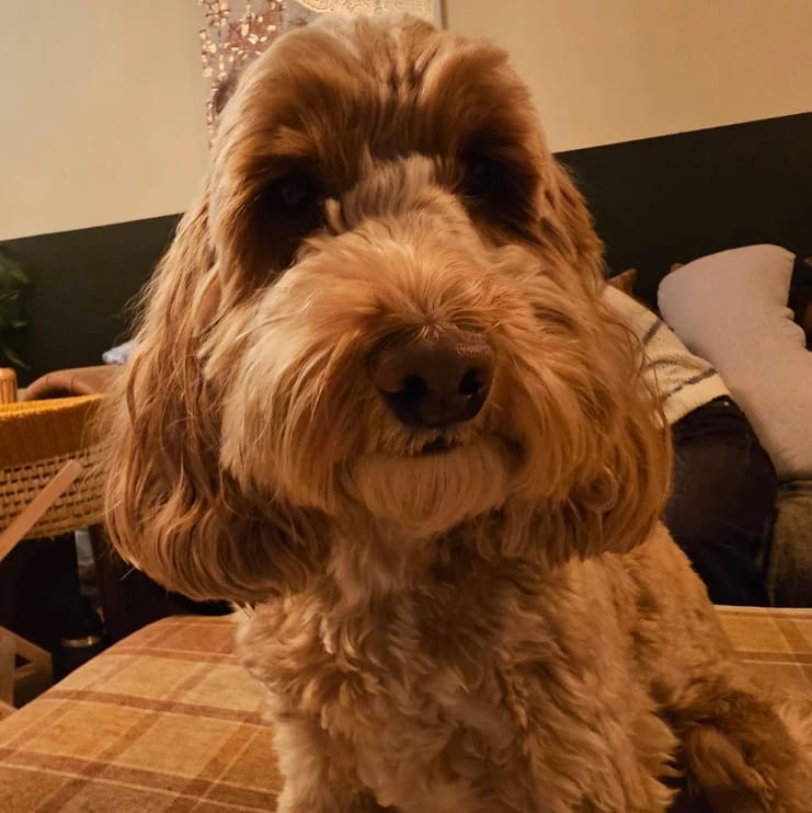 Annie