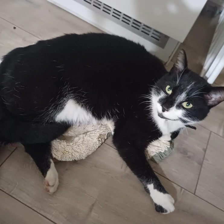 Max