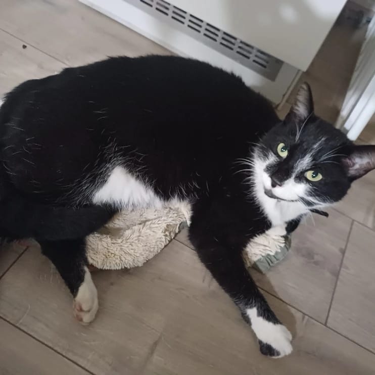 Max