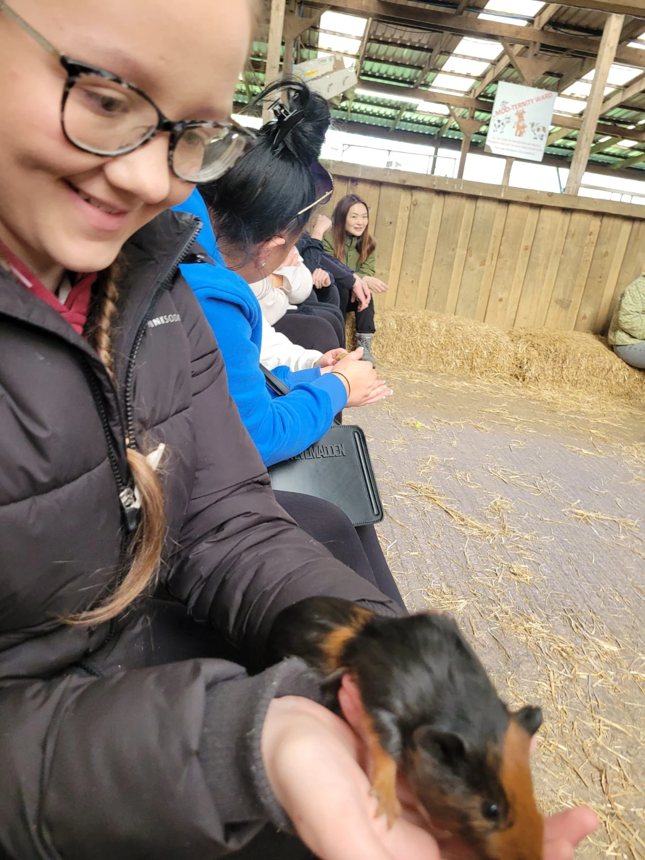 image-7