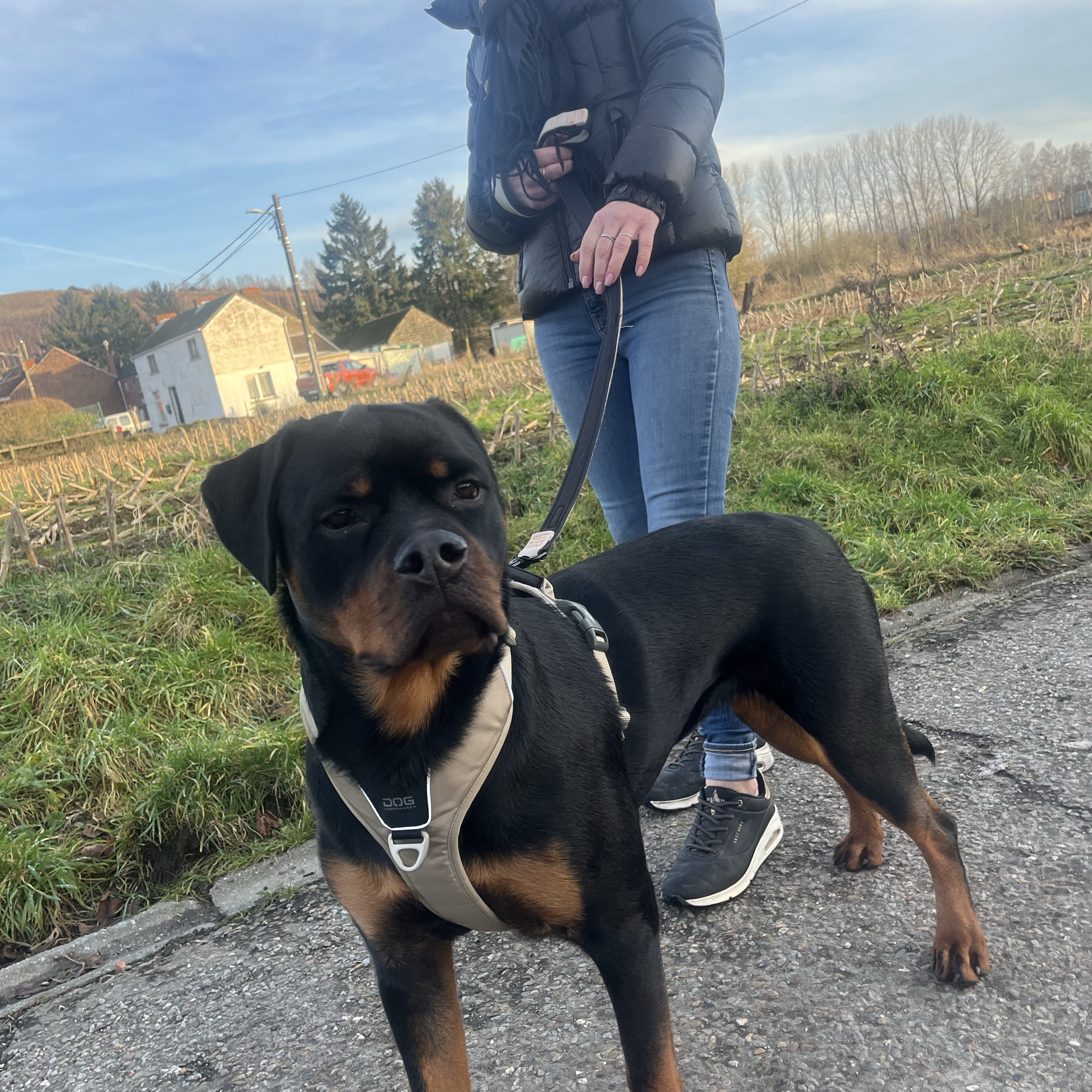 Xena 