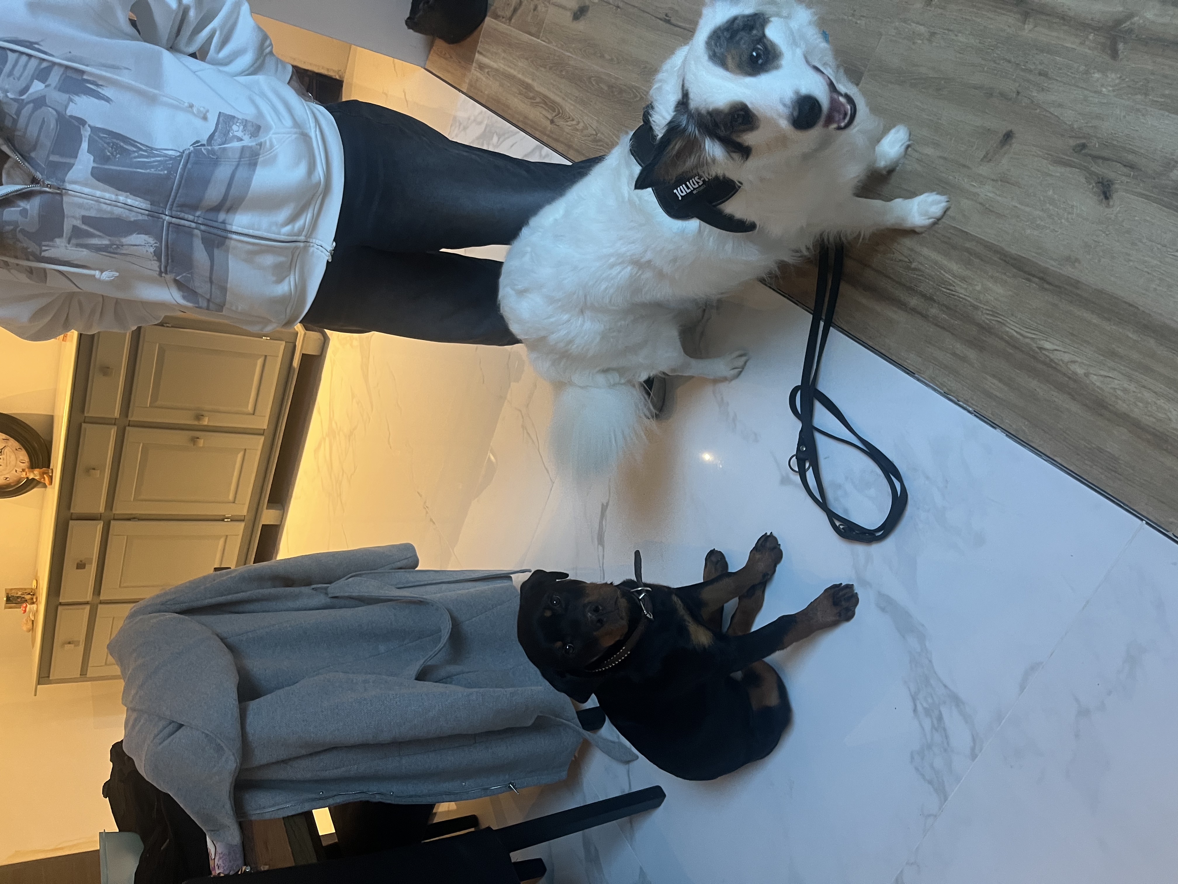 image-13