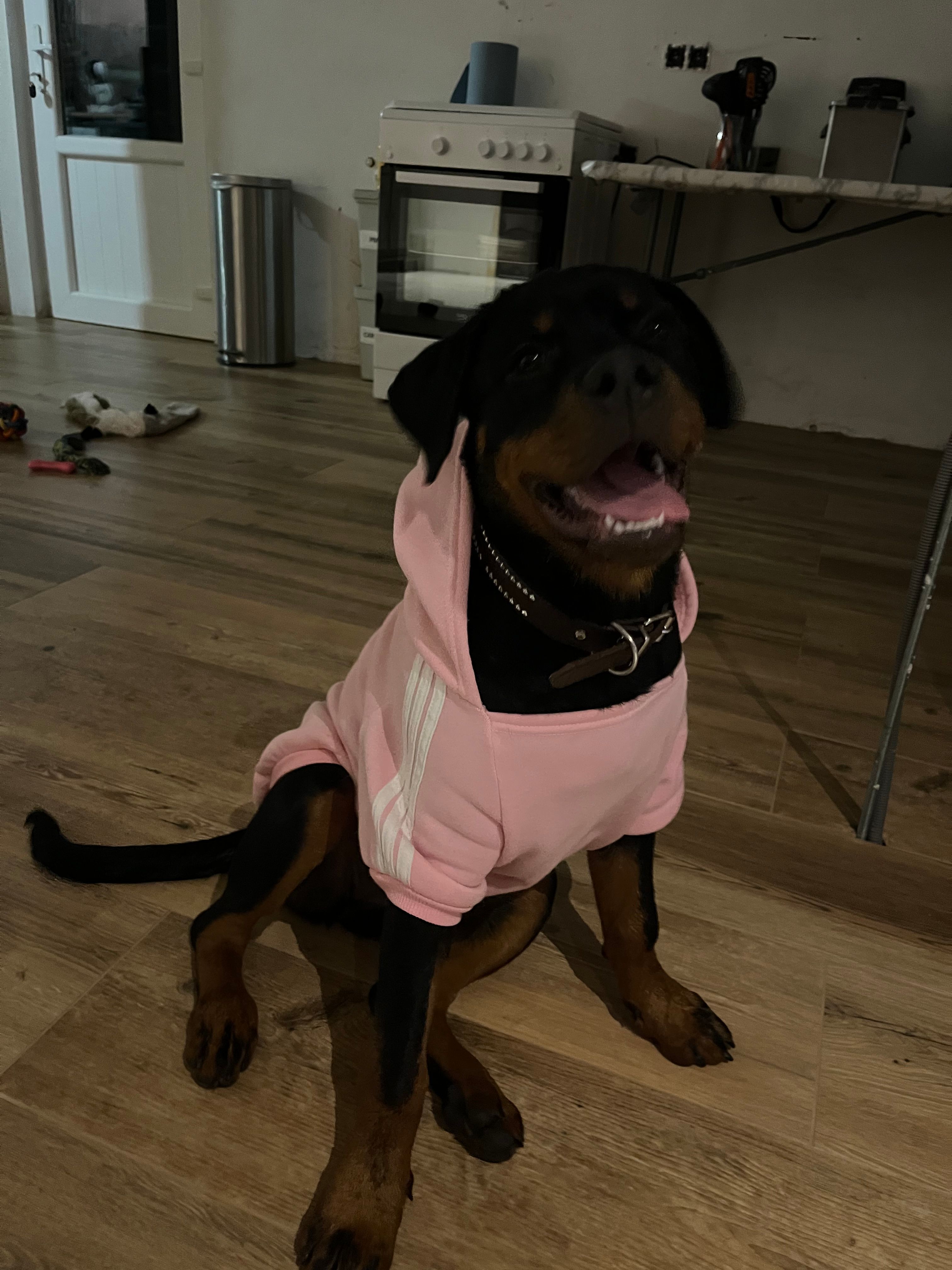 image-10