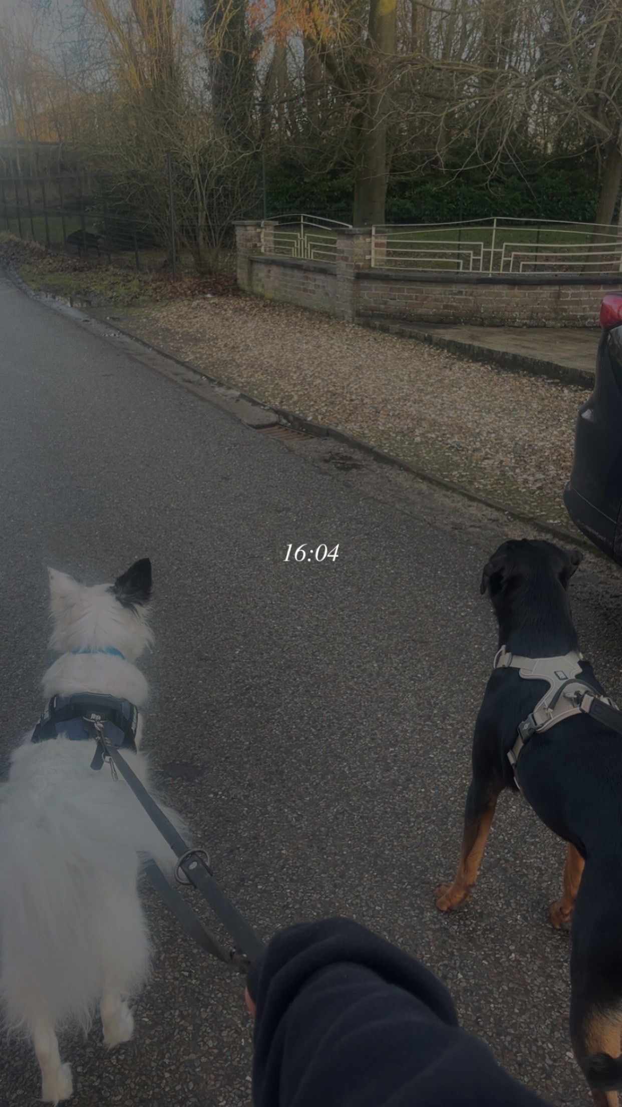 image-6
