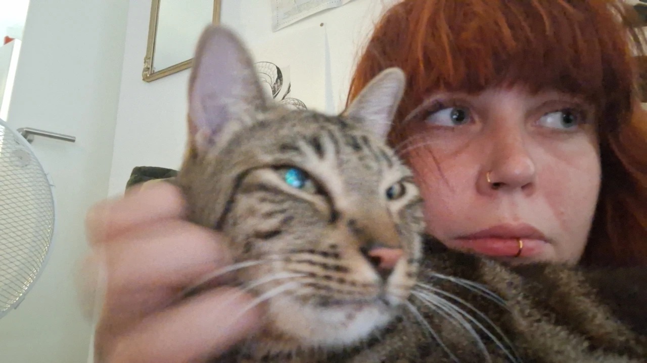 image-3
