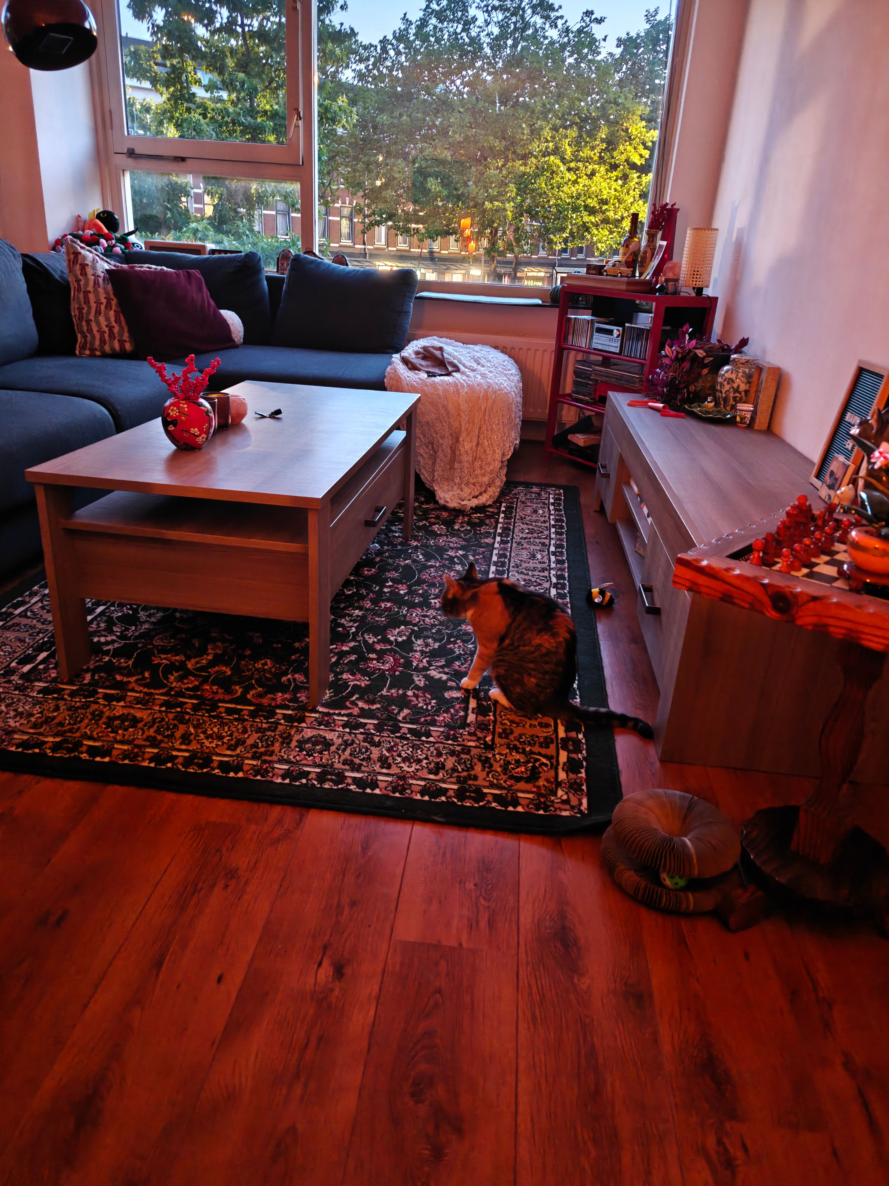 image-13