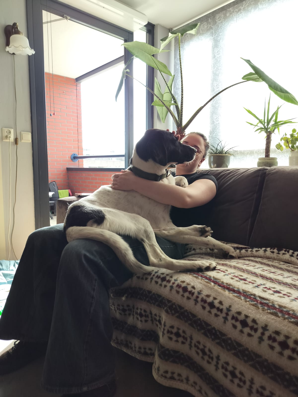 image-12