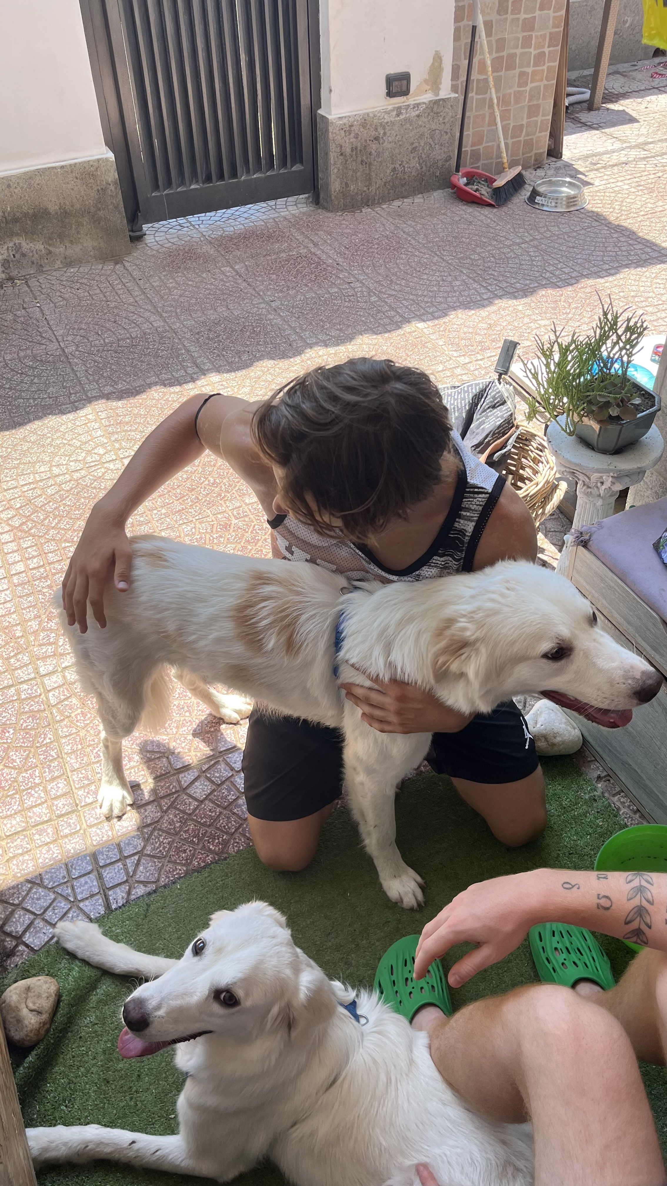 image-7