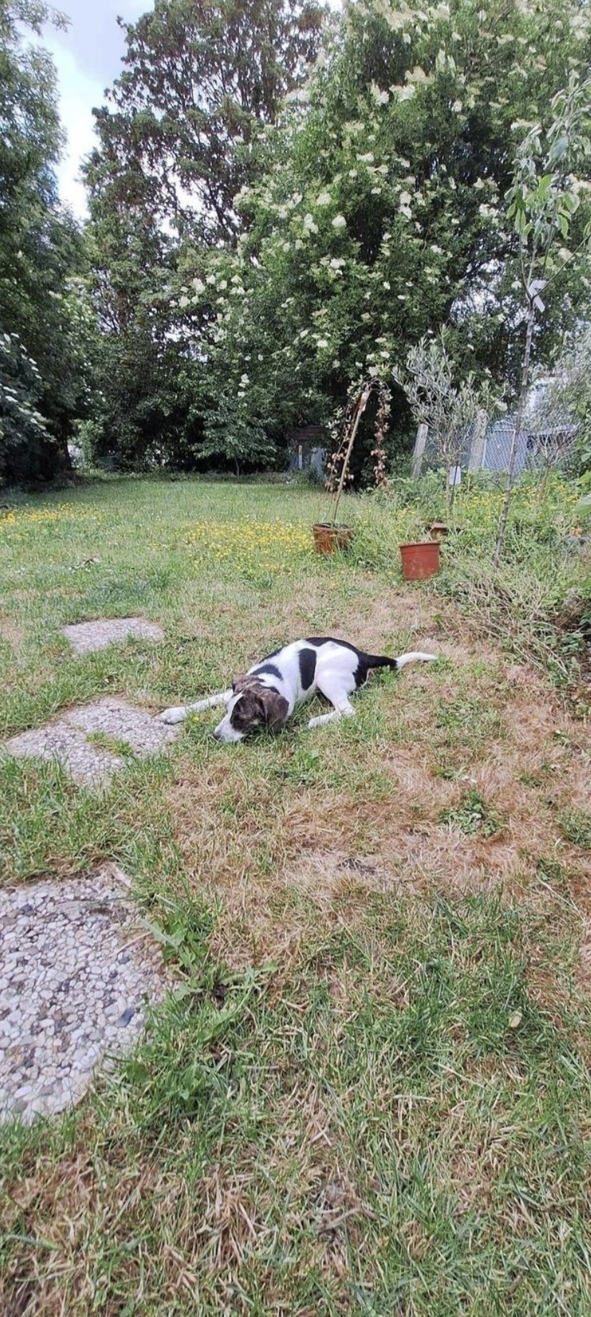 image-5