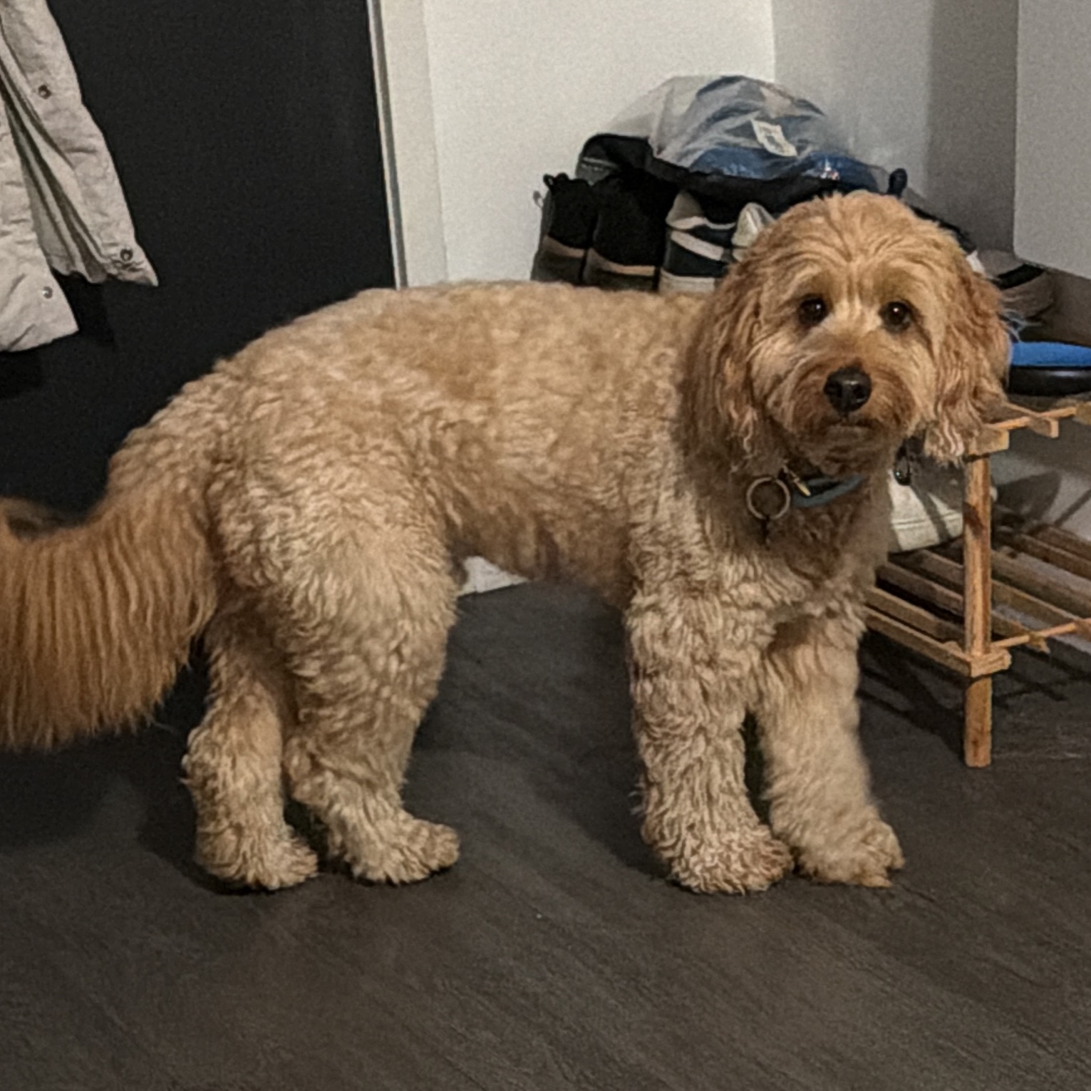 Bentley
