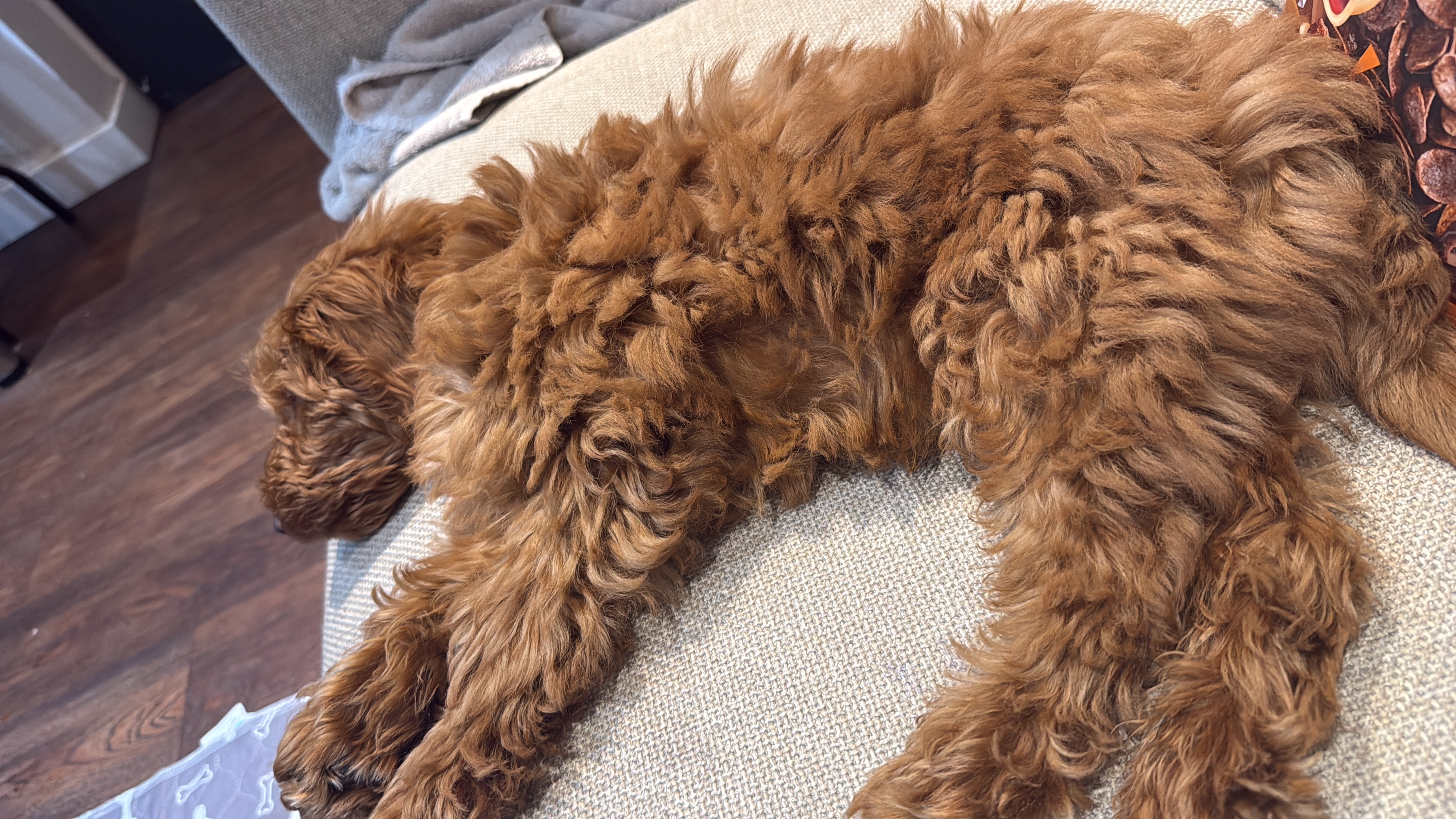 image-18