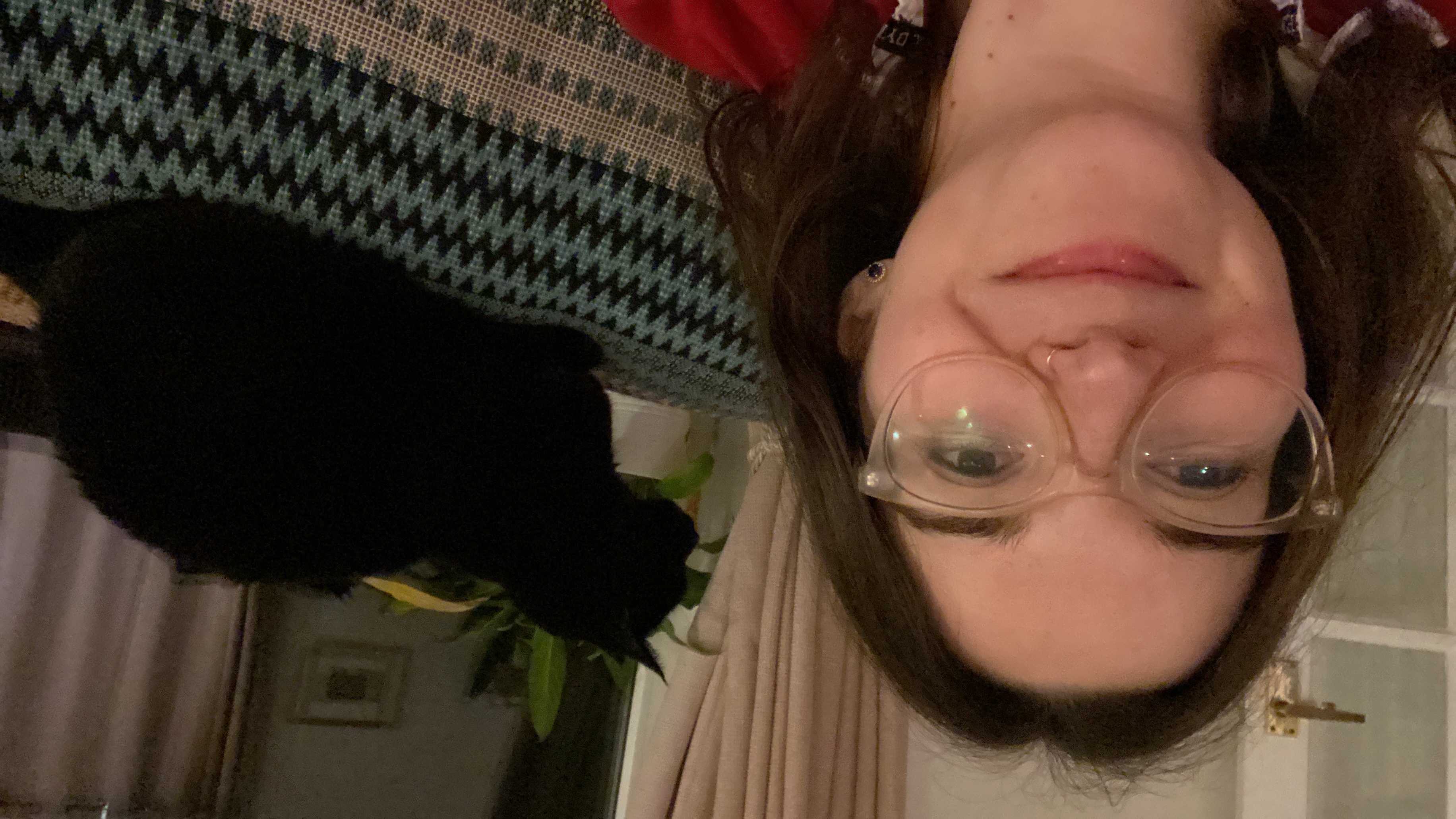 image-8