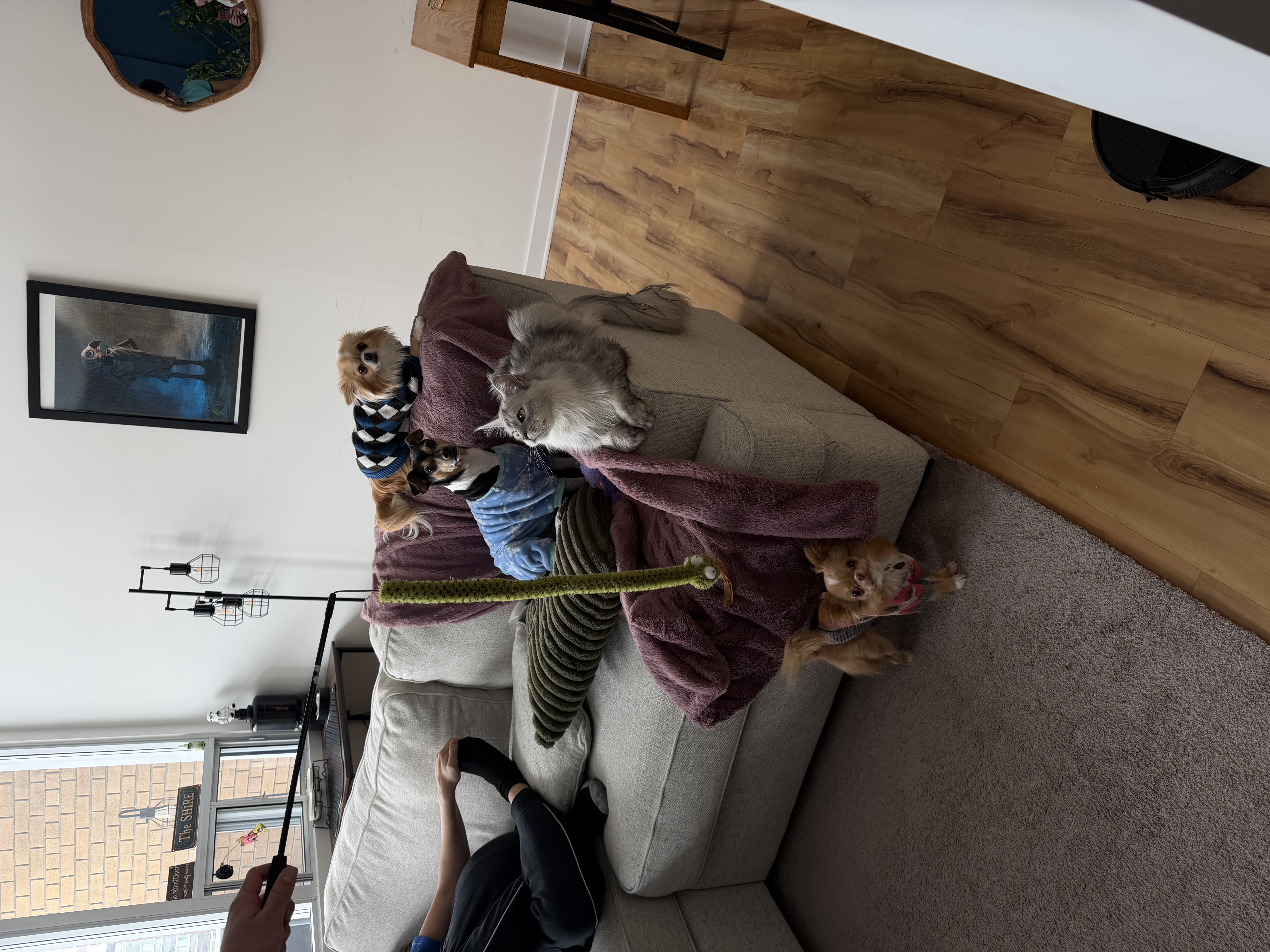 image-17