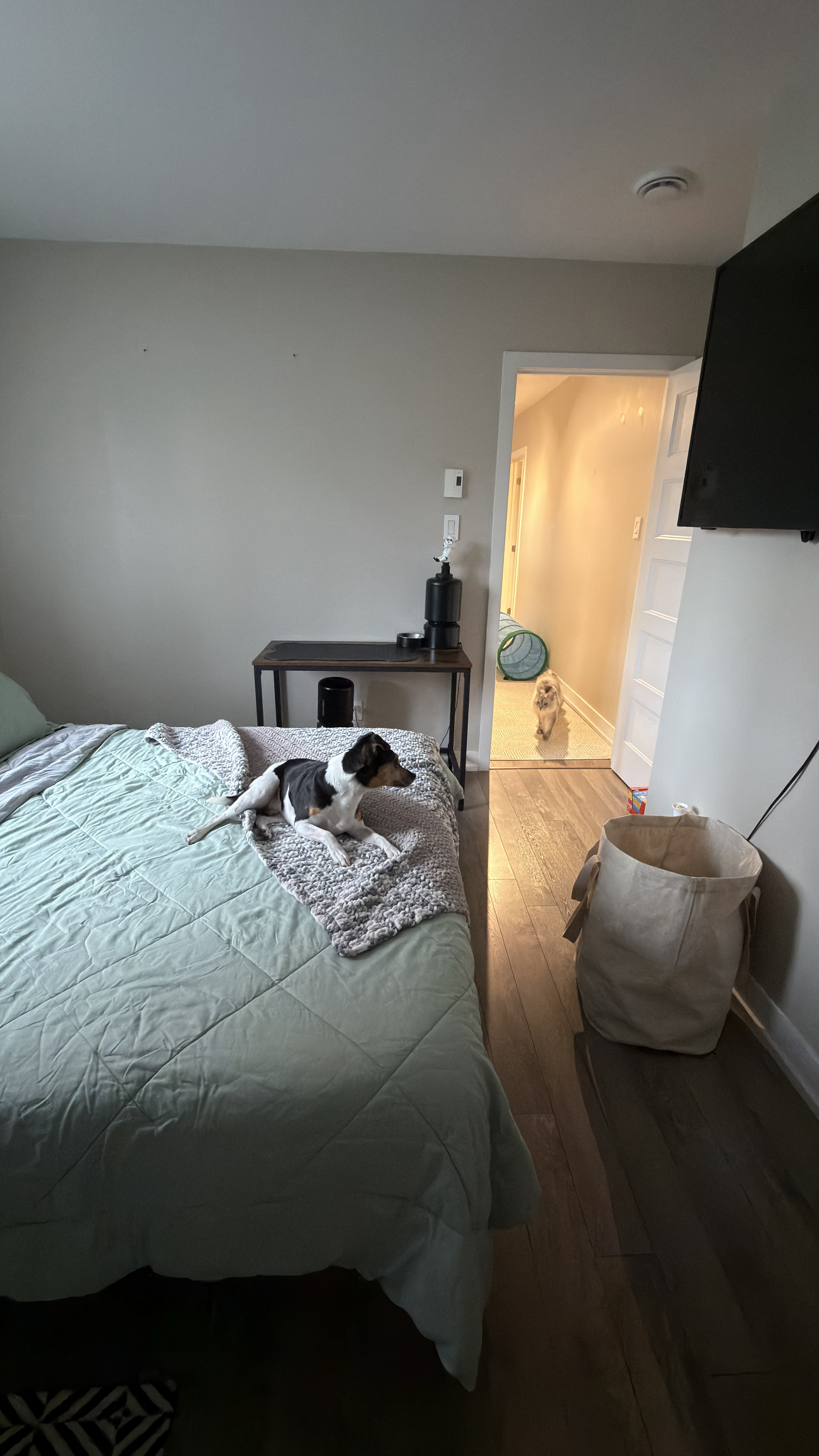 image-42