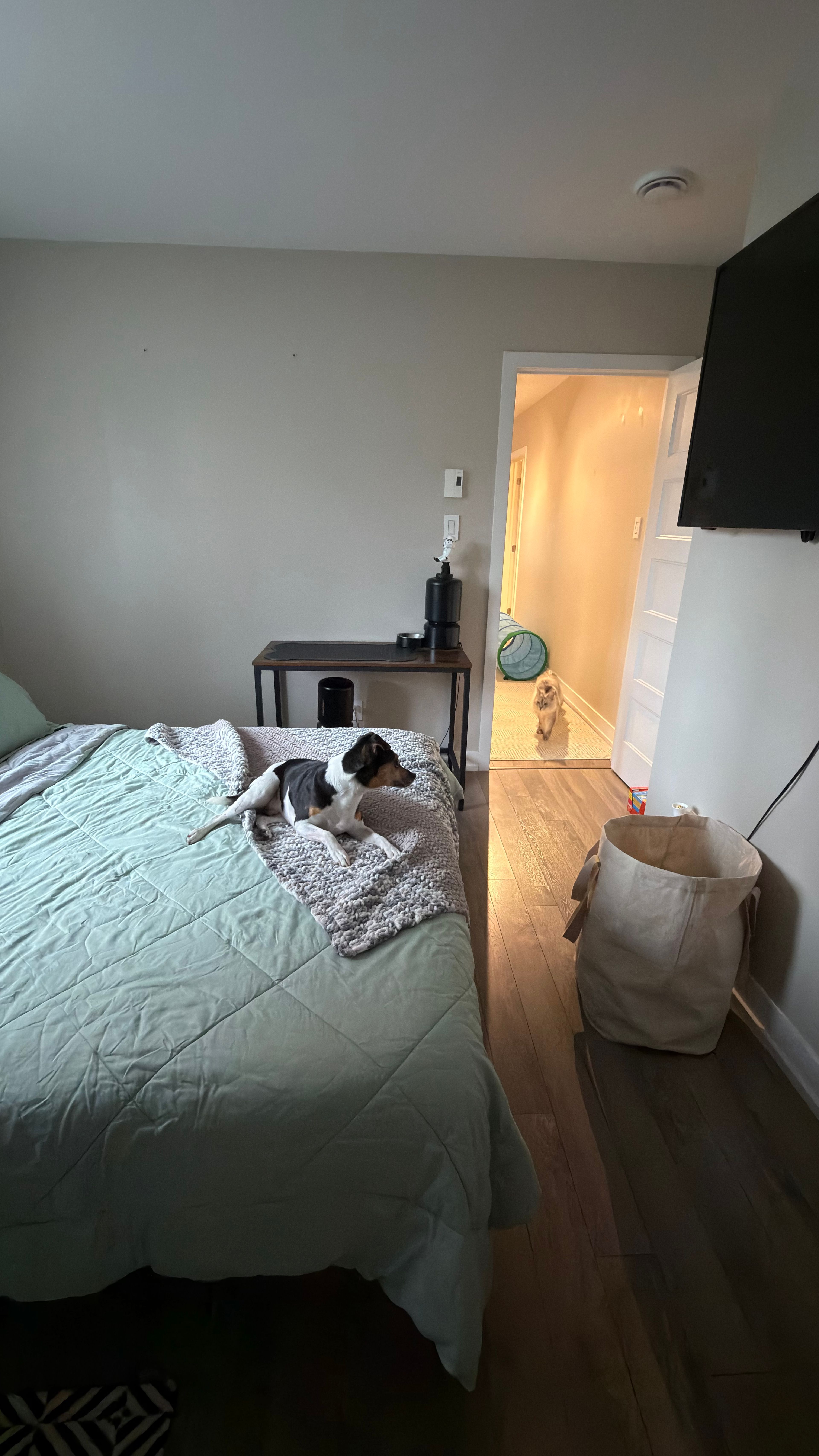 image-42