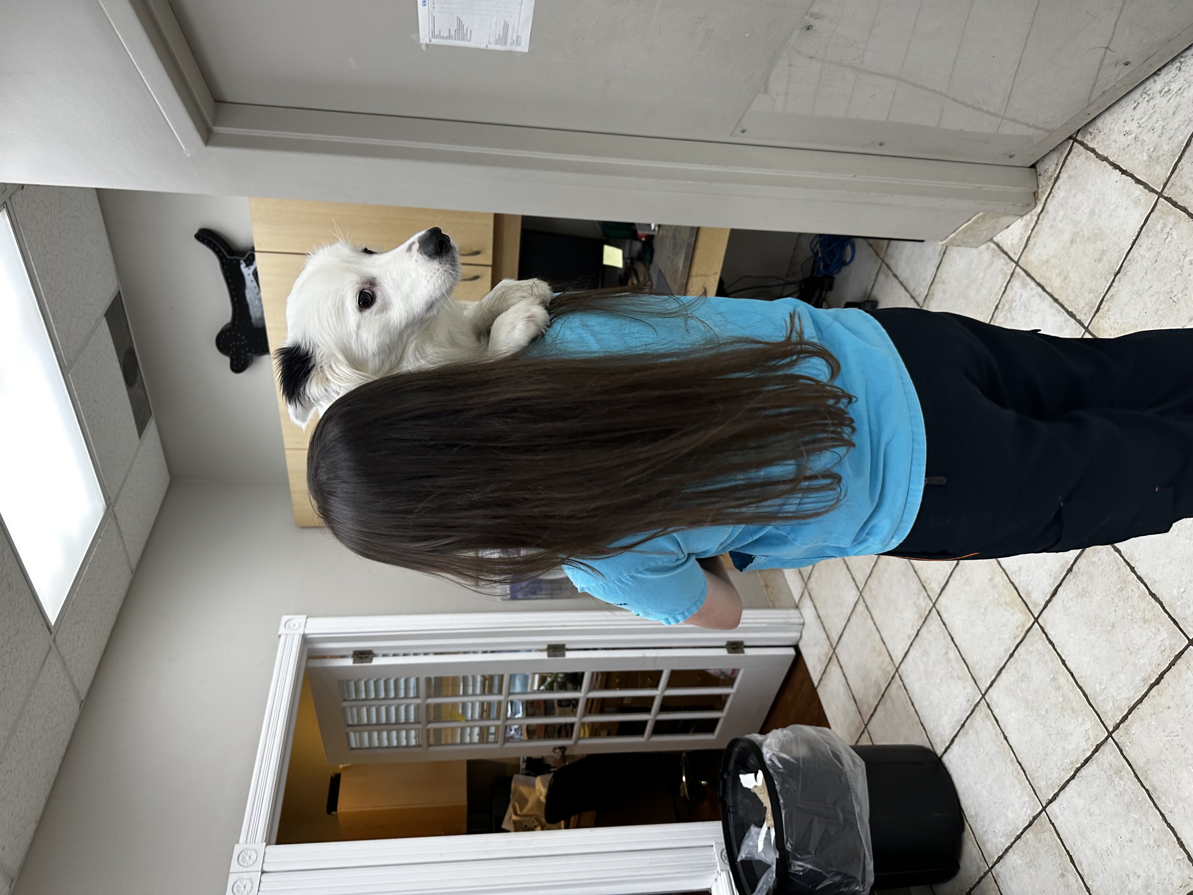 image-13