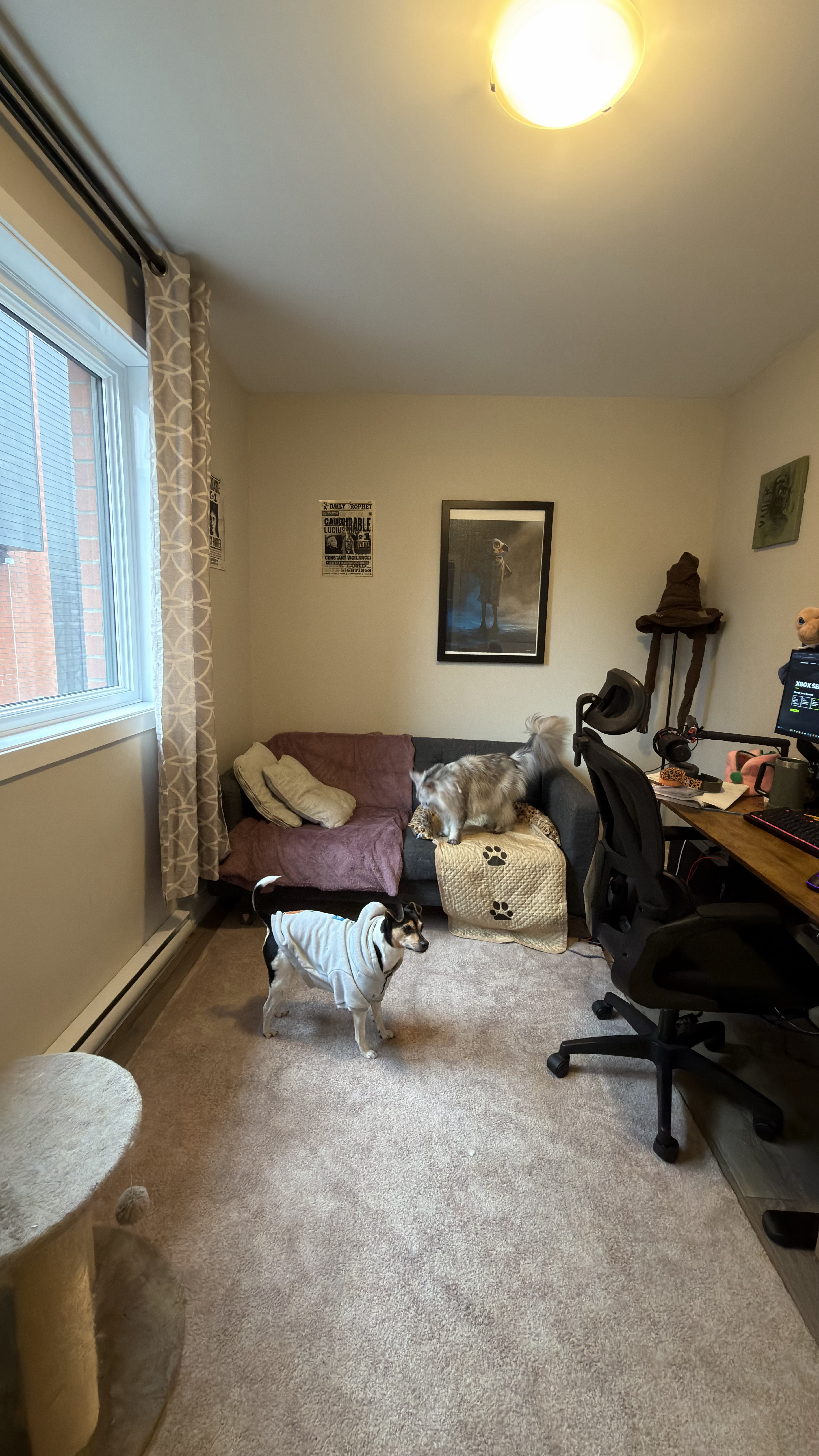 image-35