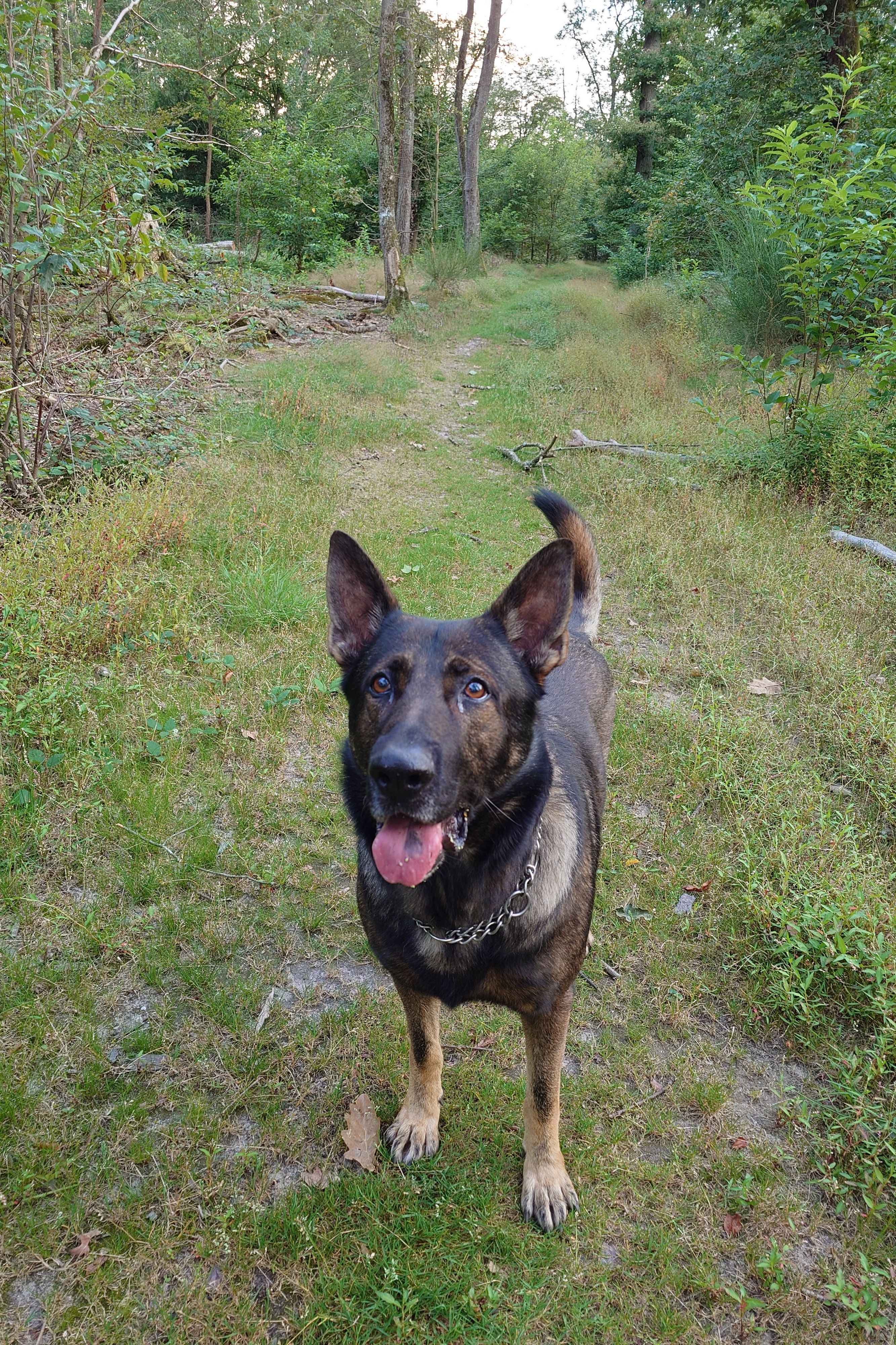 image-27