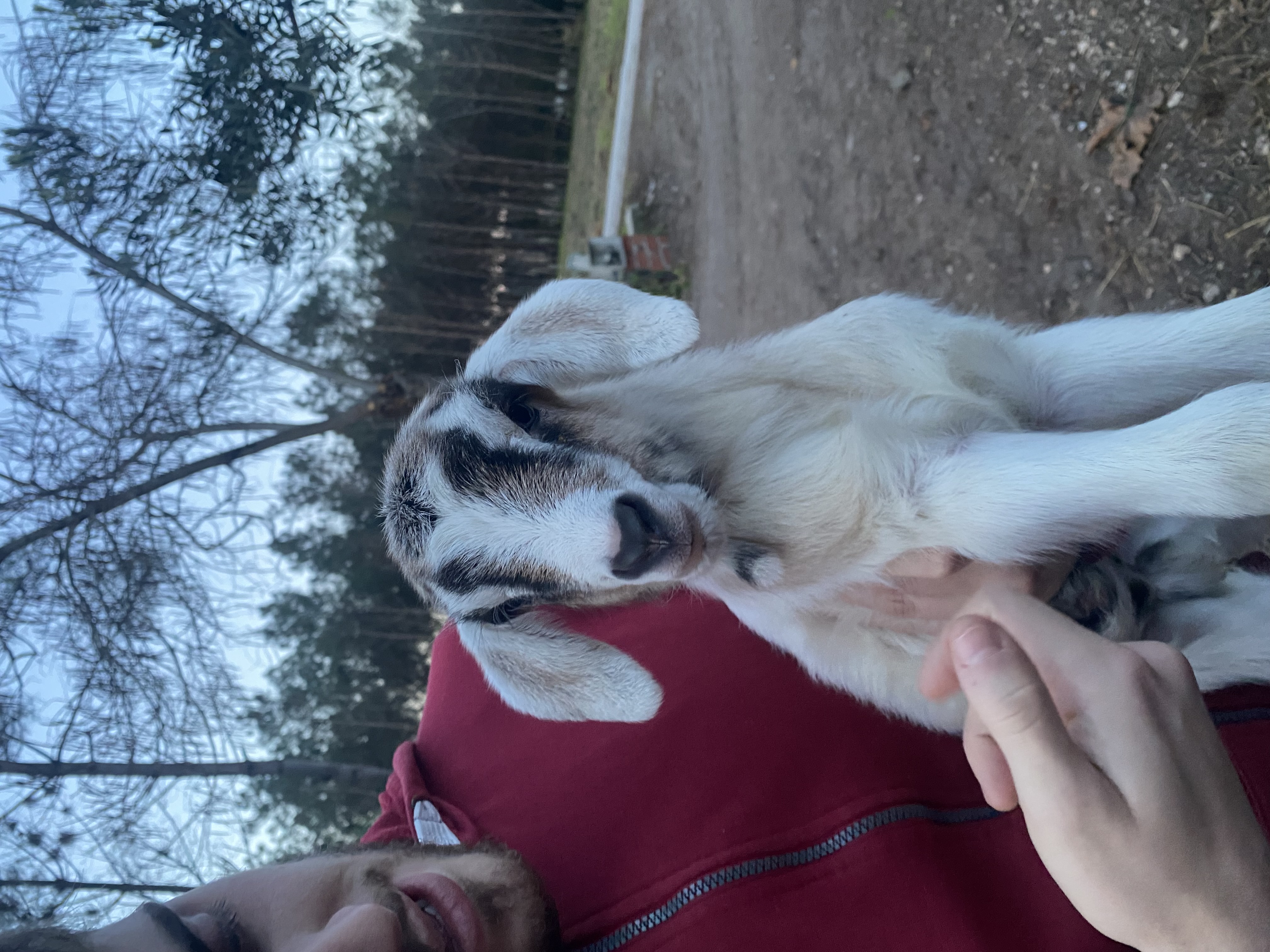 image-6