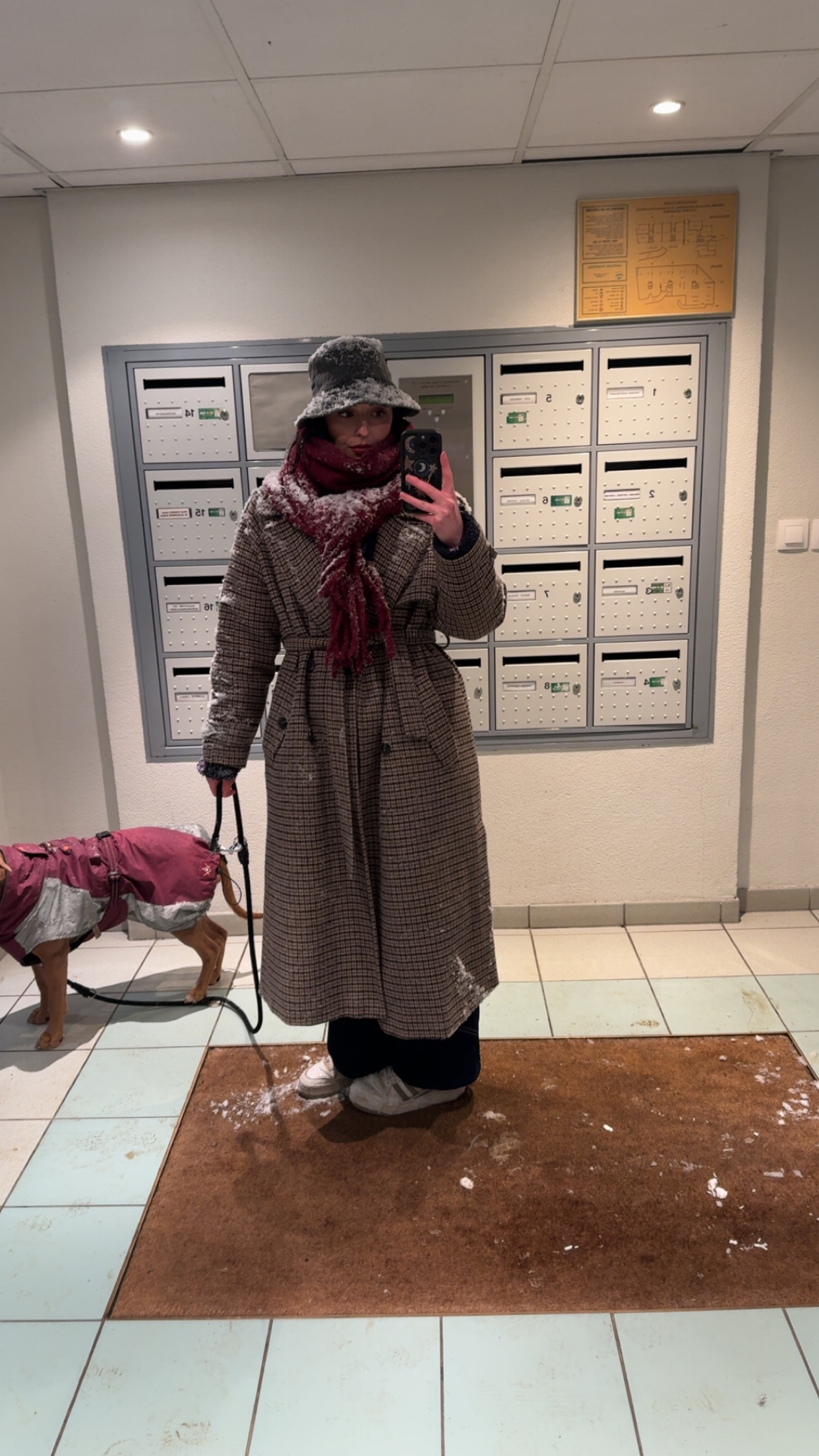image-12