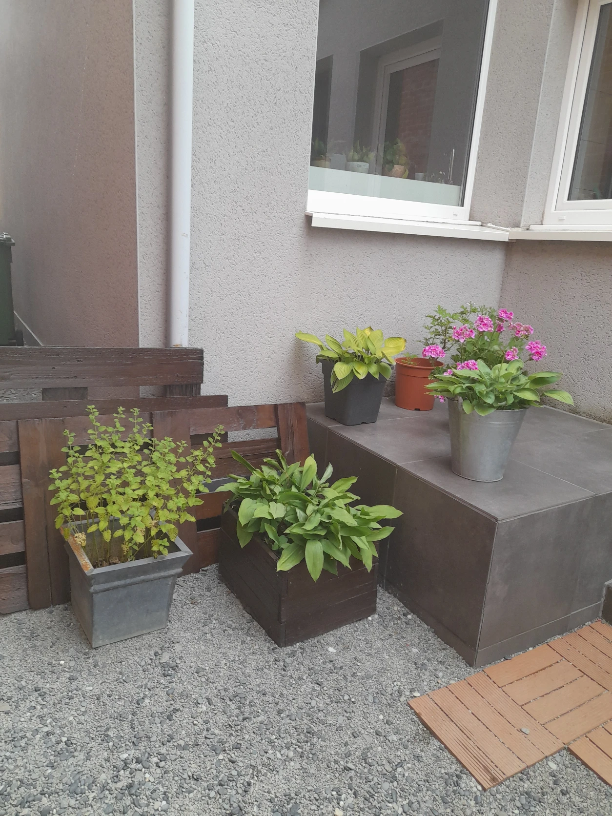 image-19