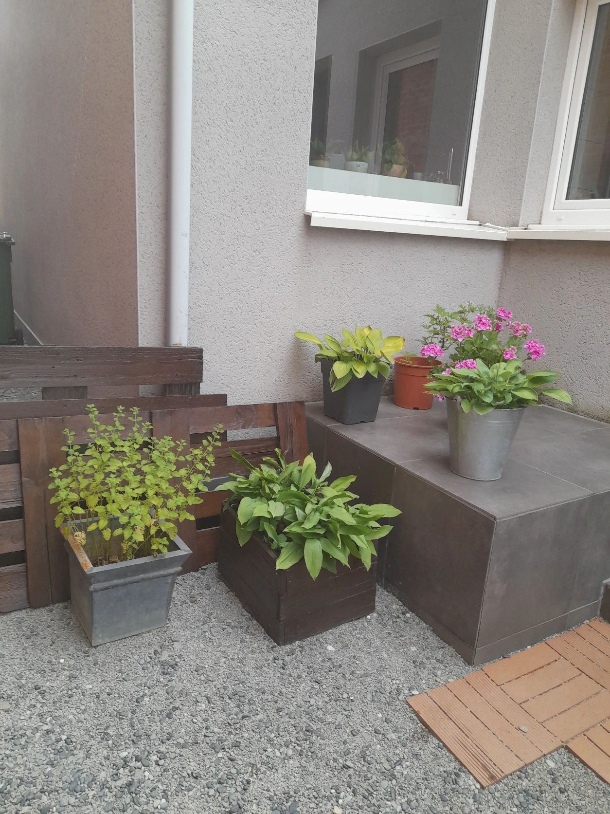 image-19