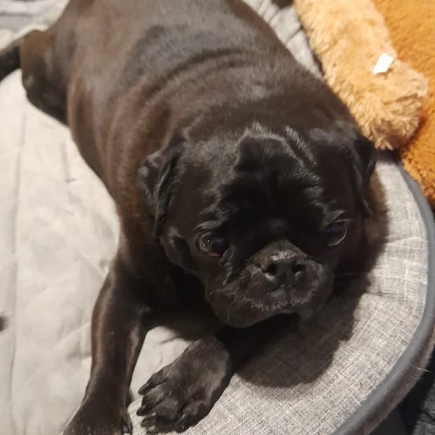 (King) George