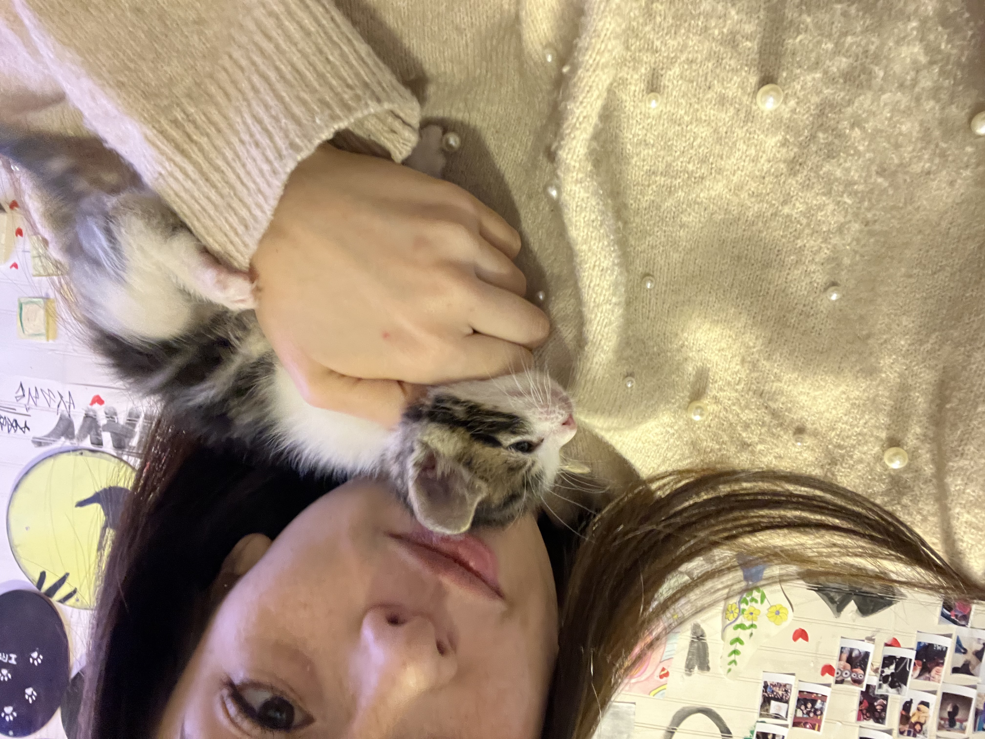 image-12