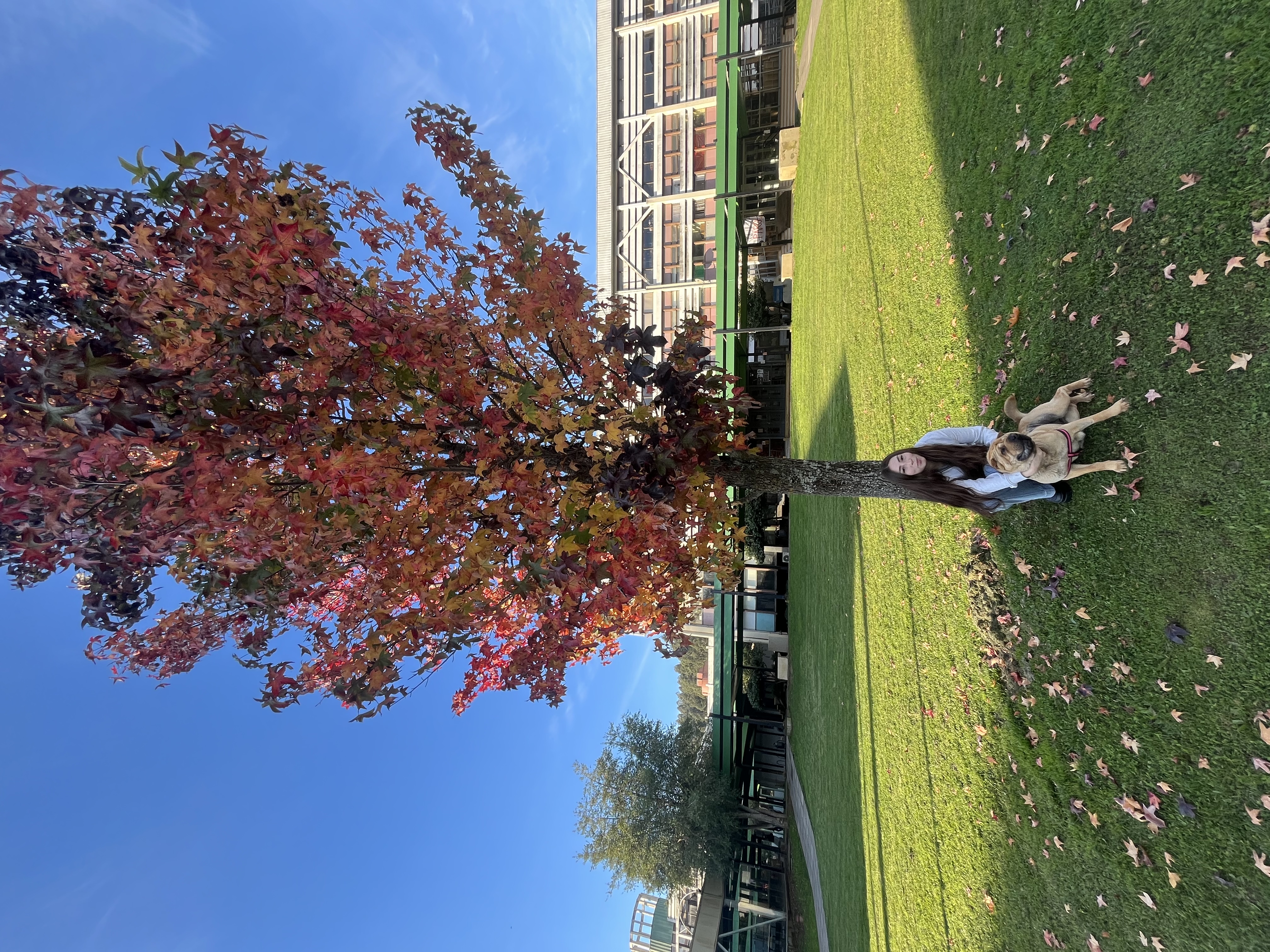 image-7