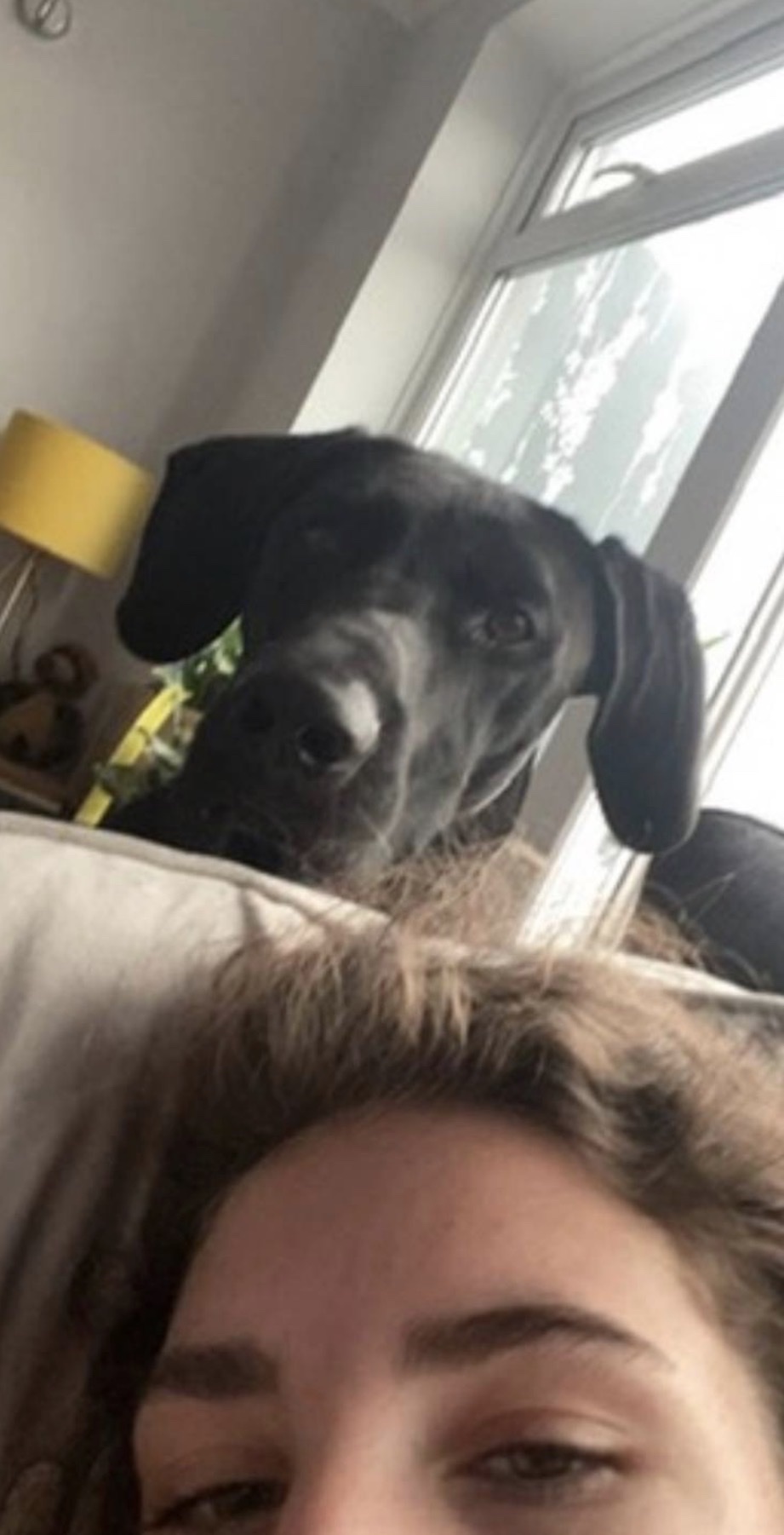 image-3
