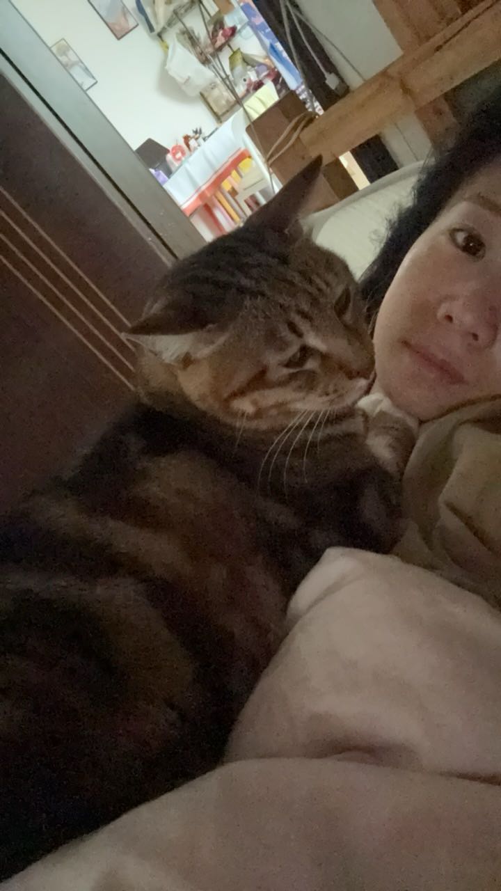 image-10