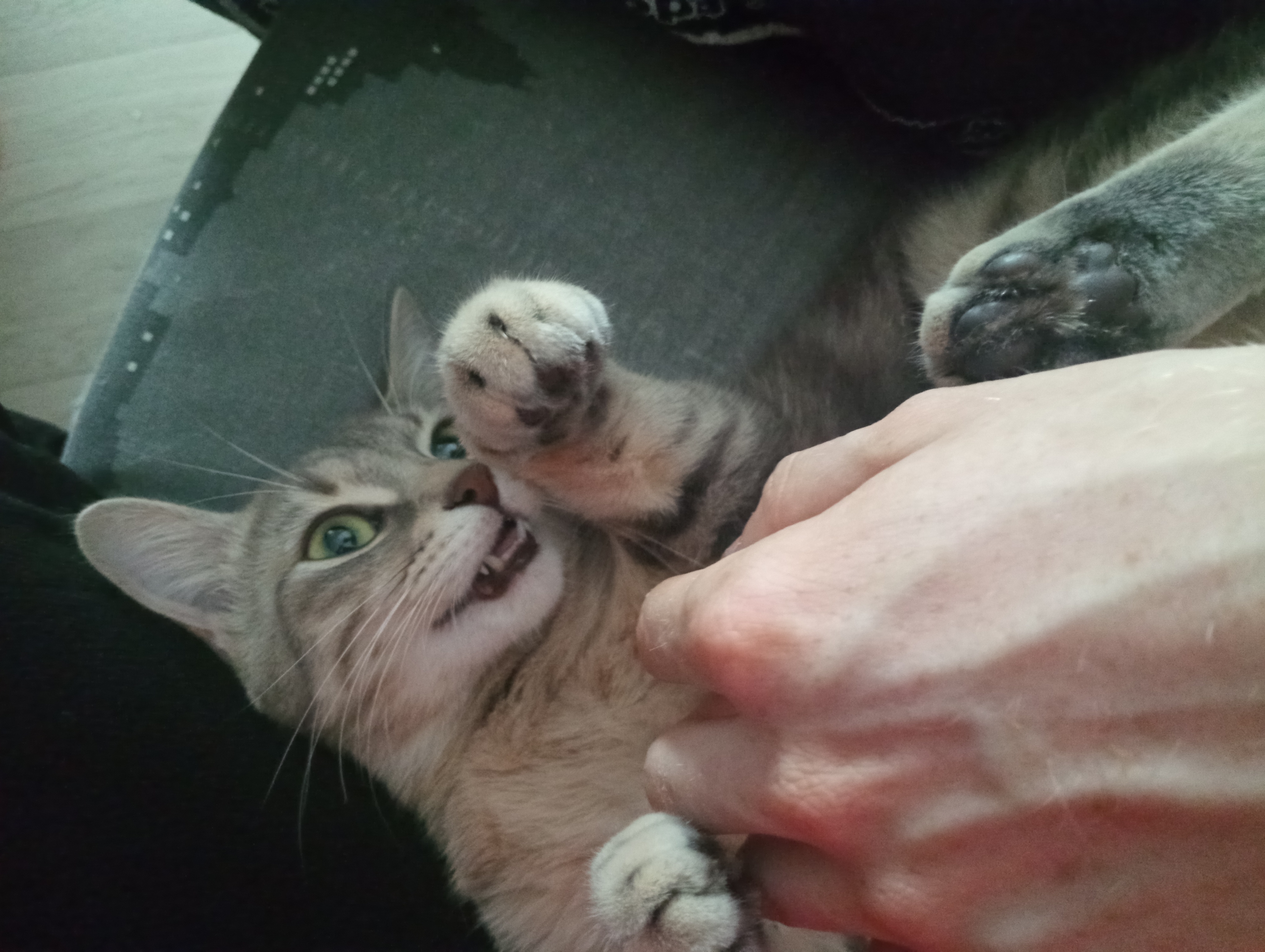image-8