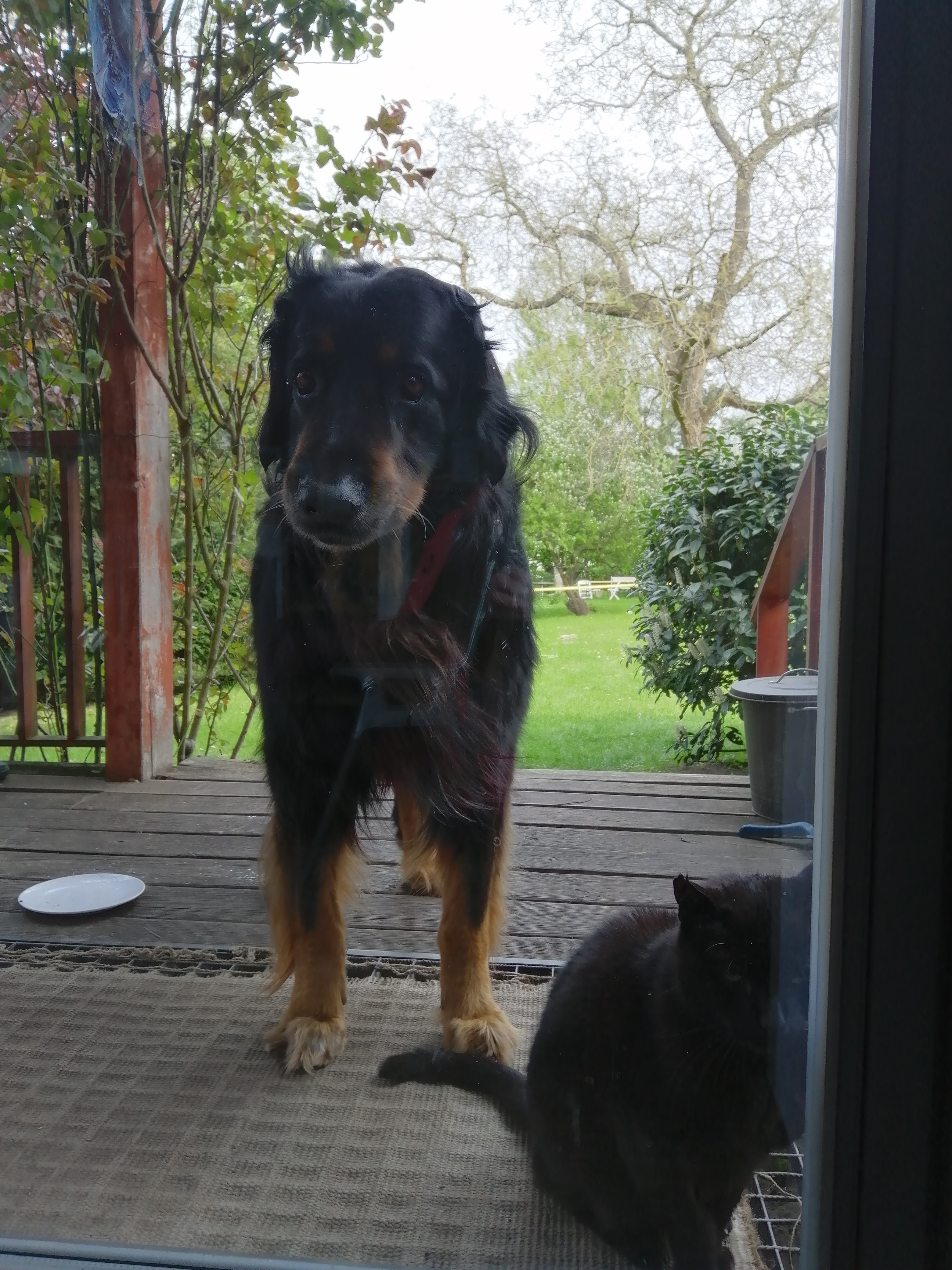 image-7