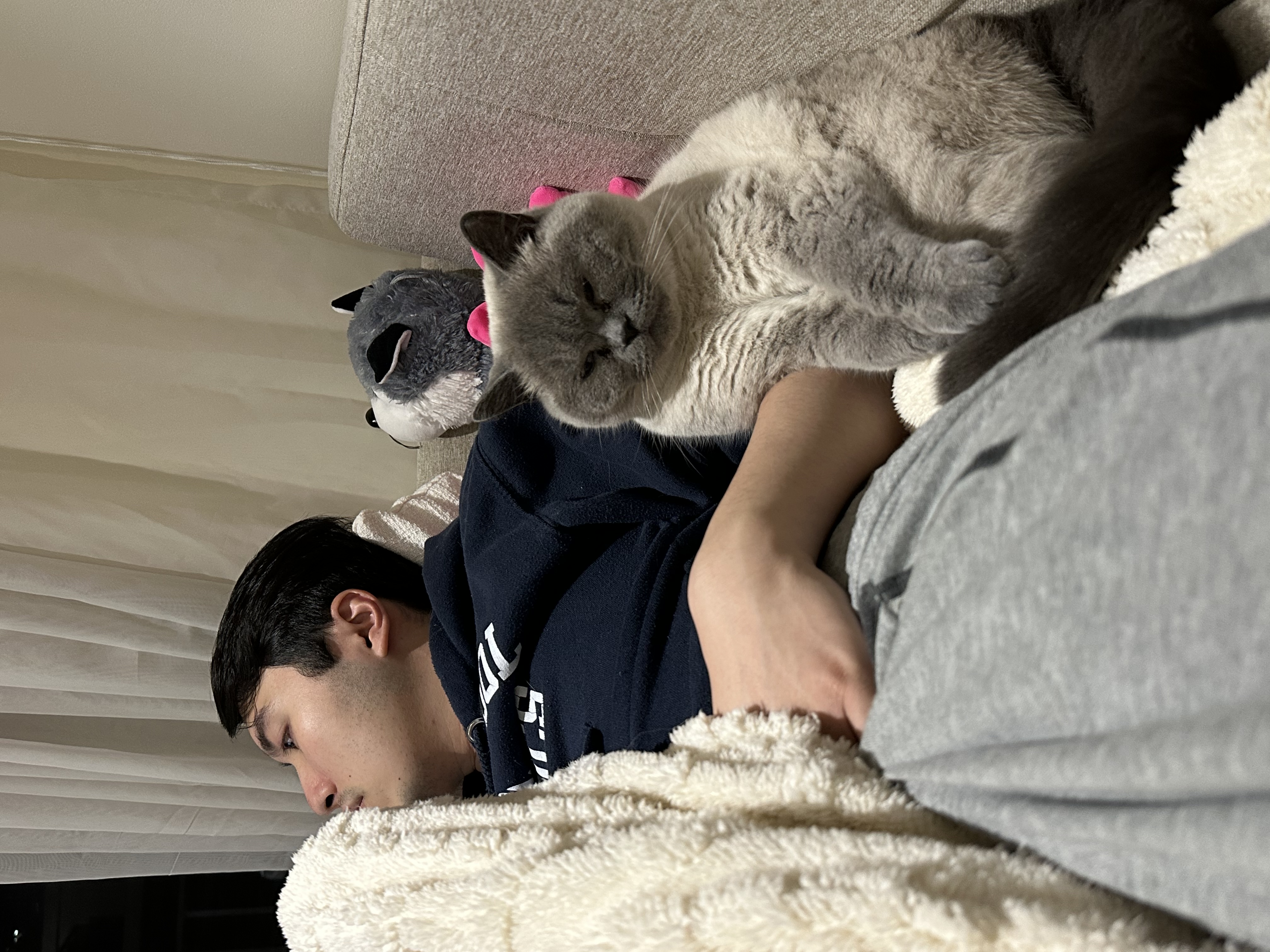 image-12