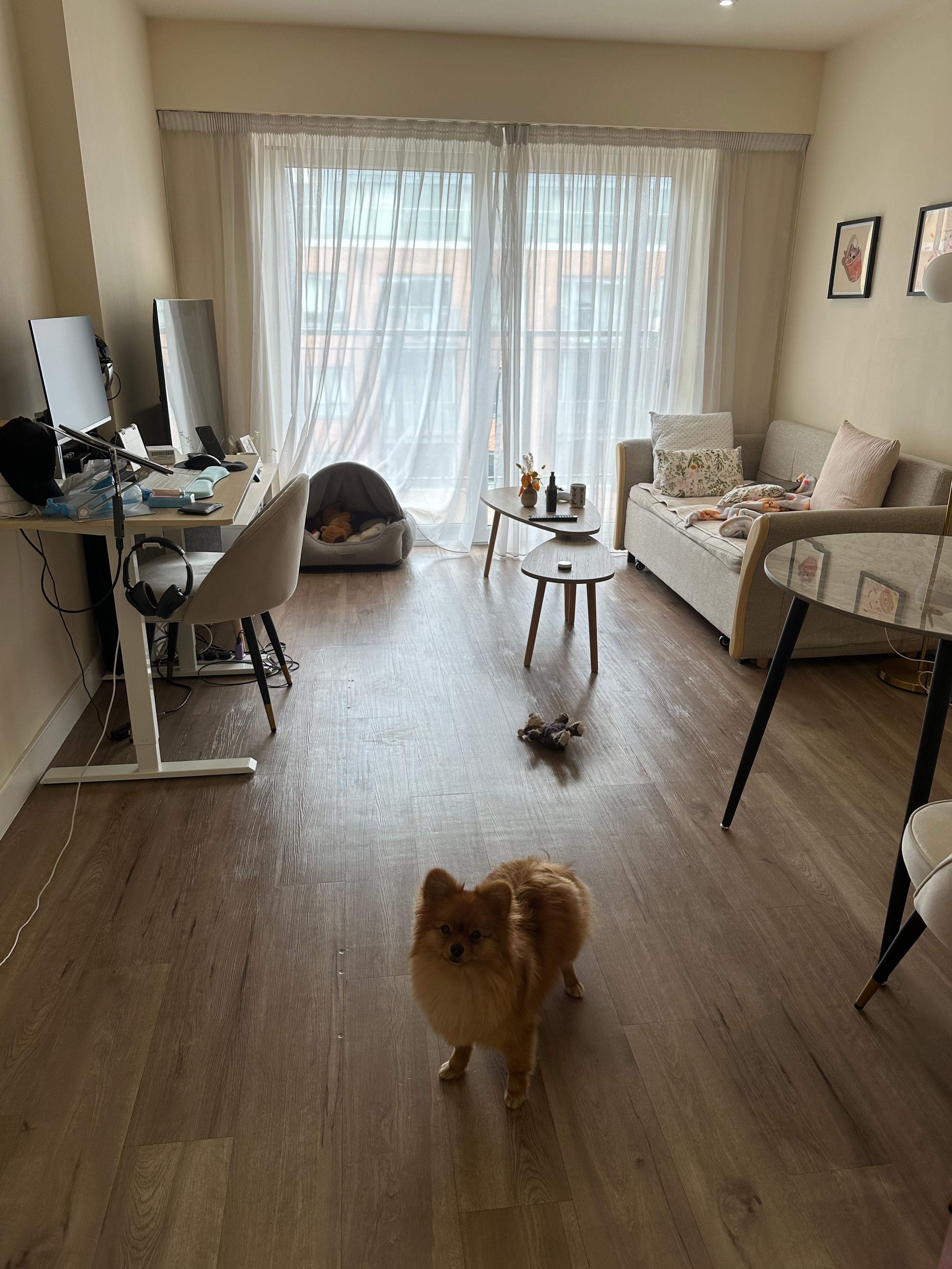 image-15