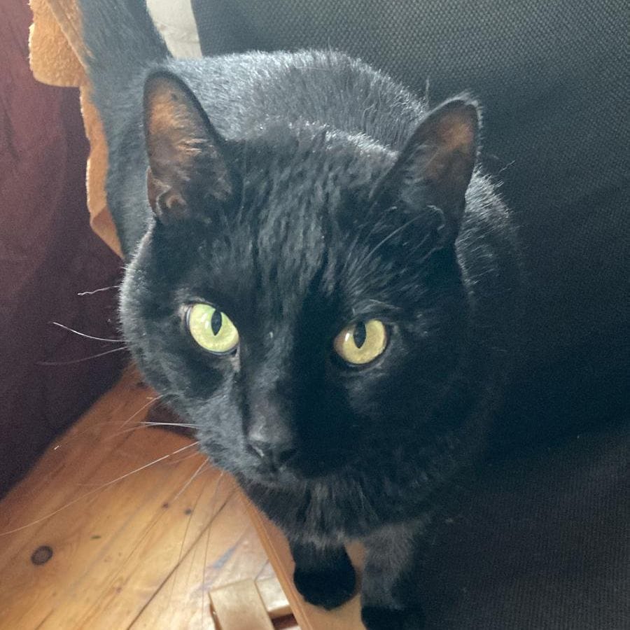 Eddie (Short for edgar)