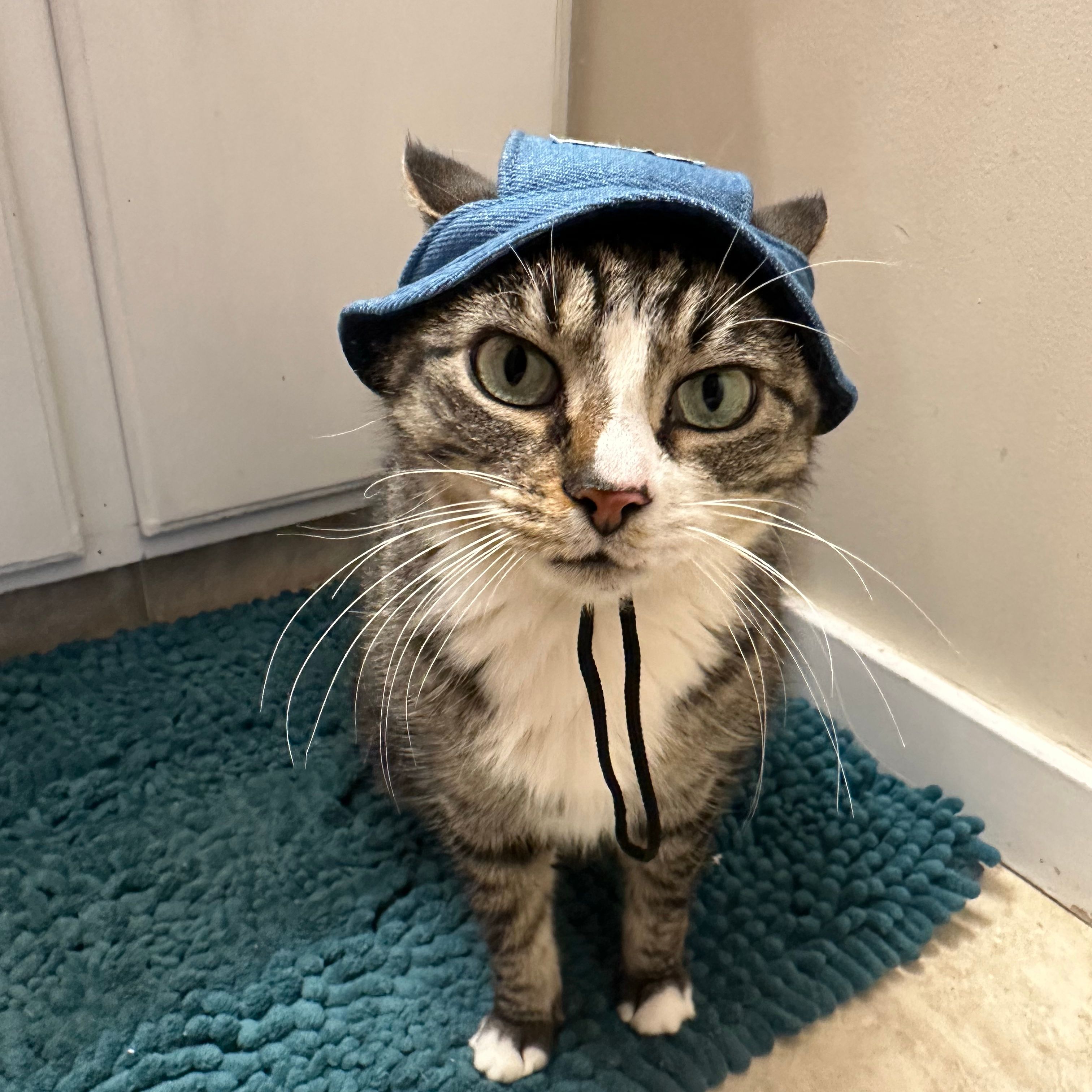 Yoda