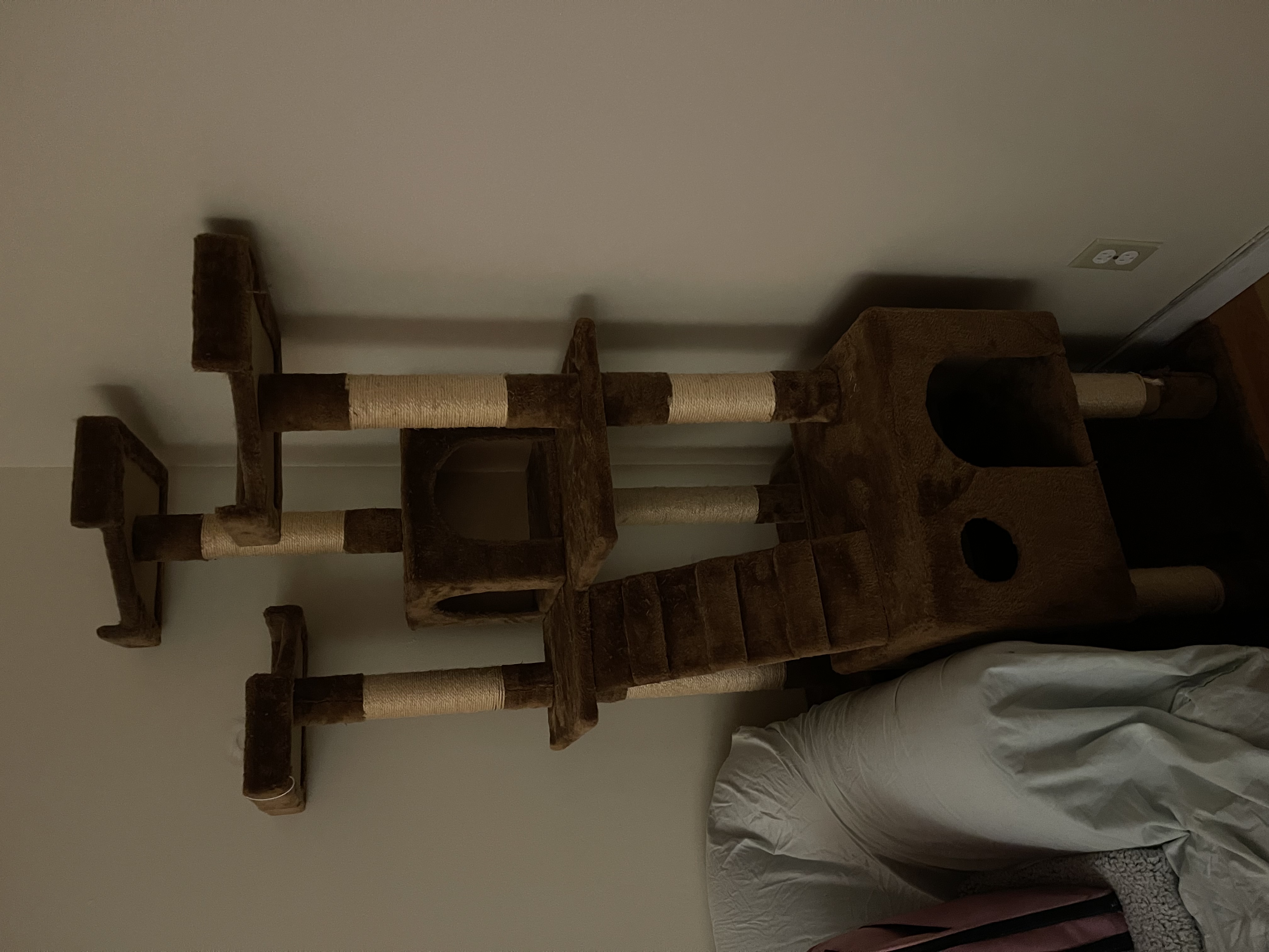 image-19