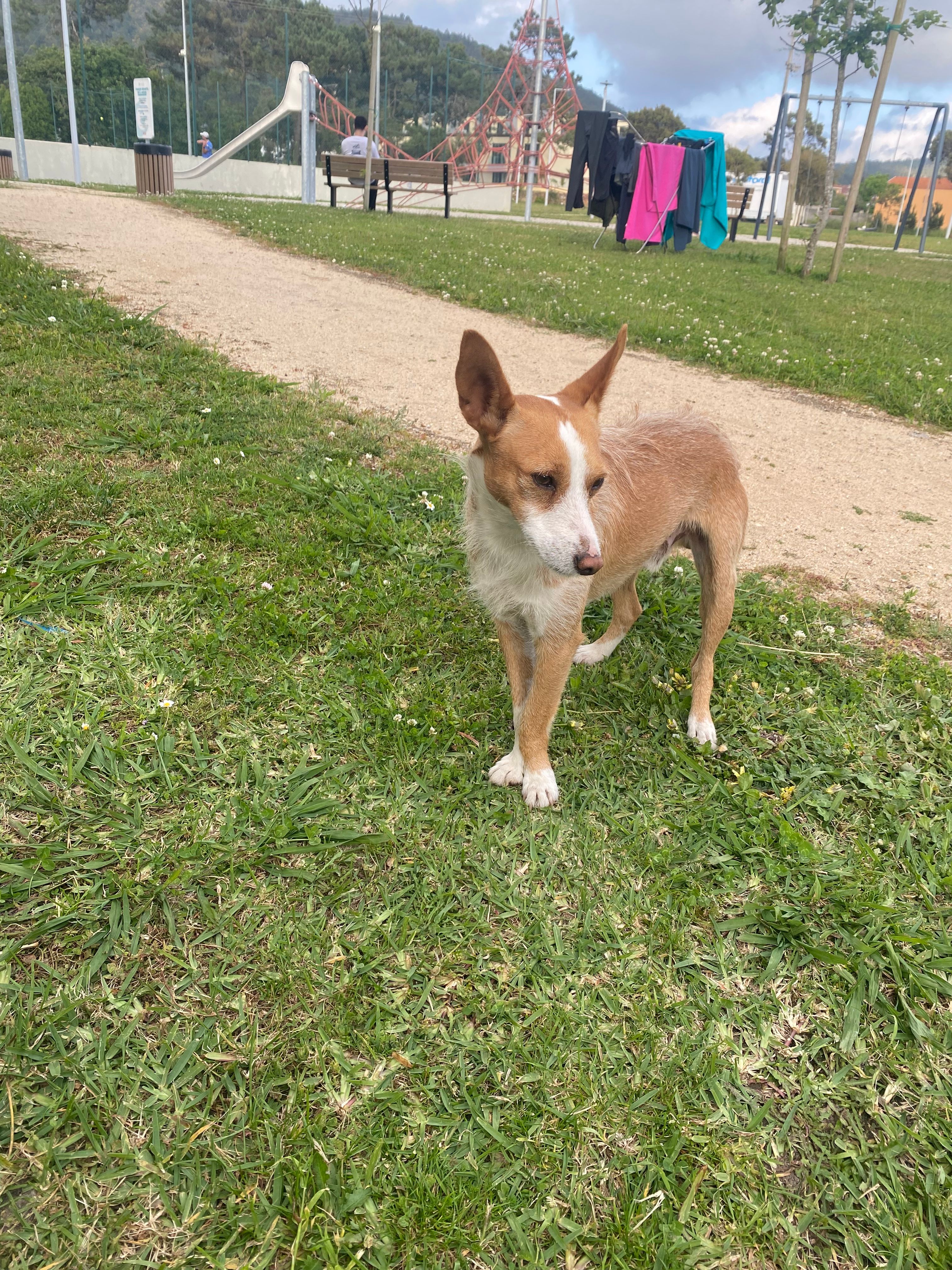 image-10